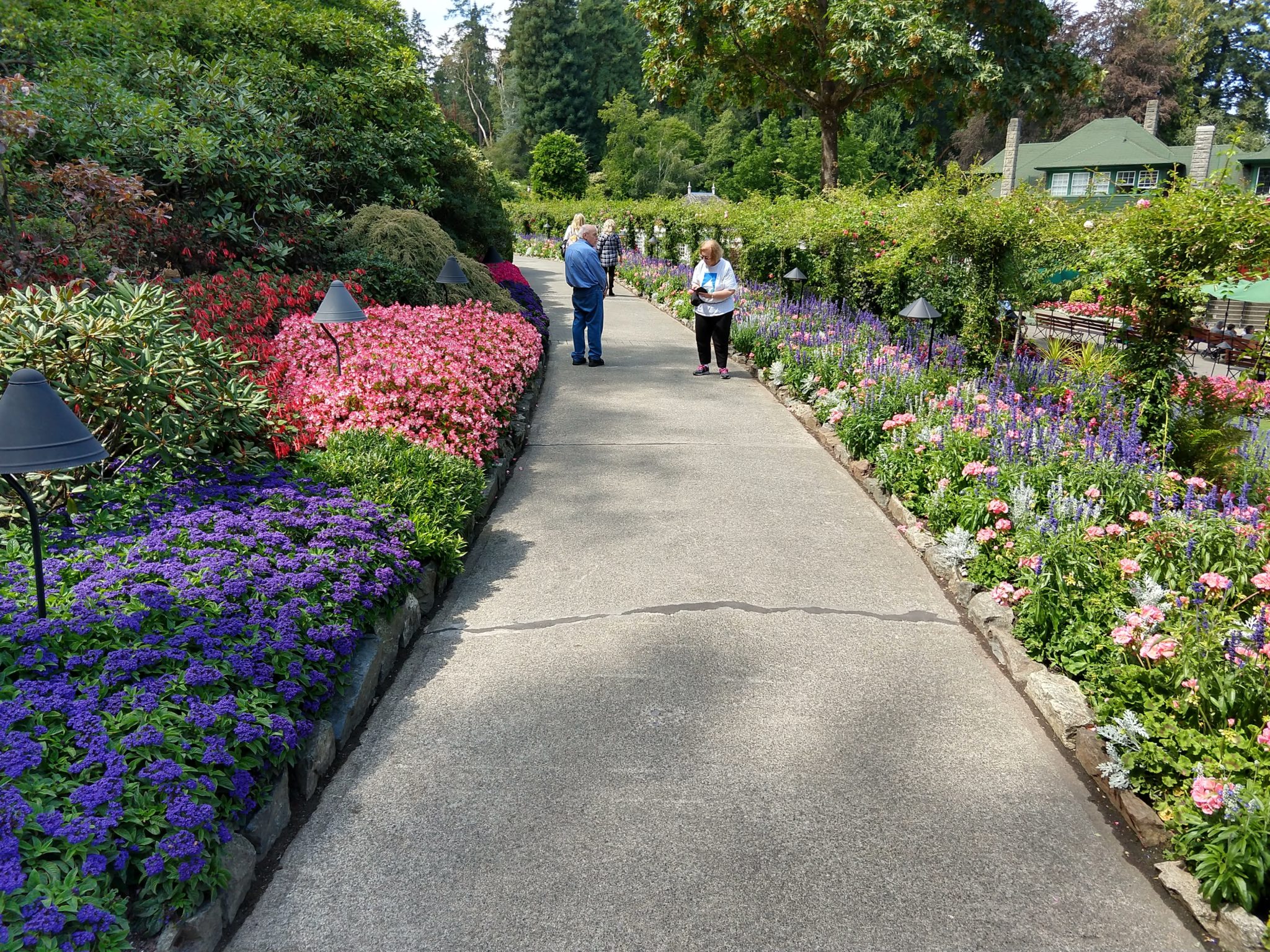 Butchart Gardens