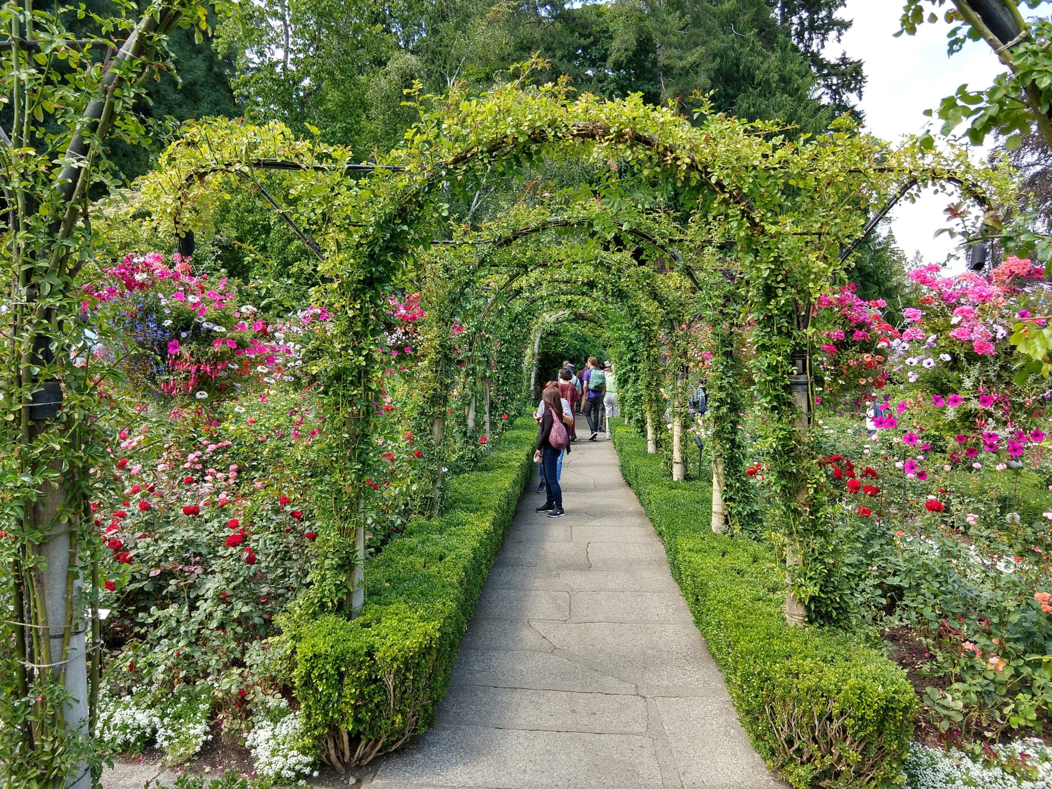 Butchart Gardens