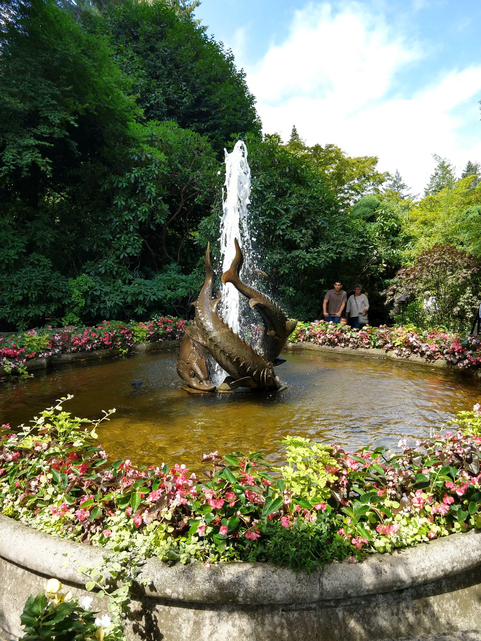 Butchart Gardens