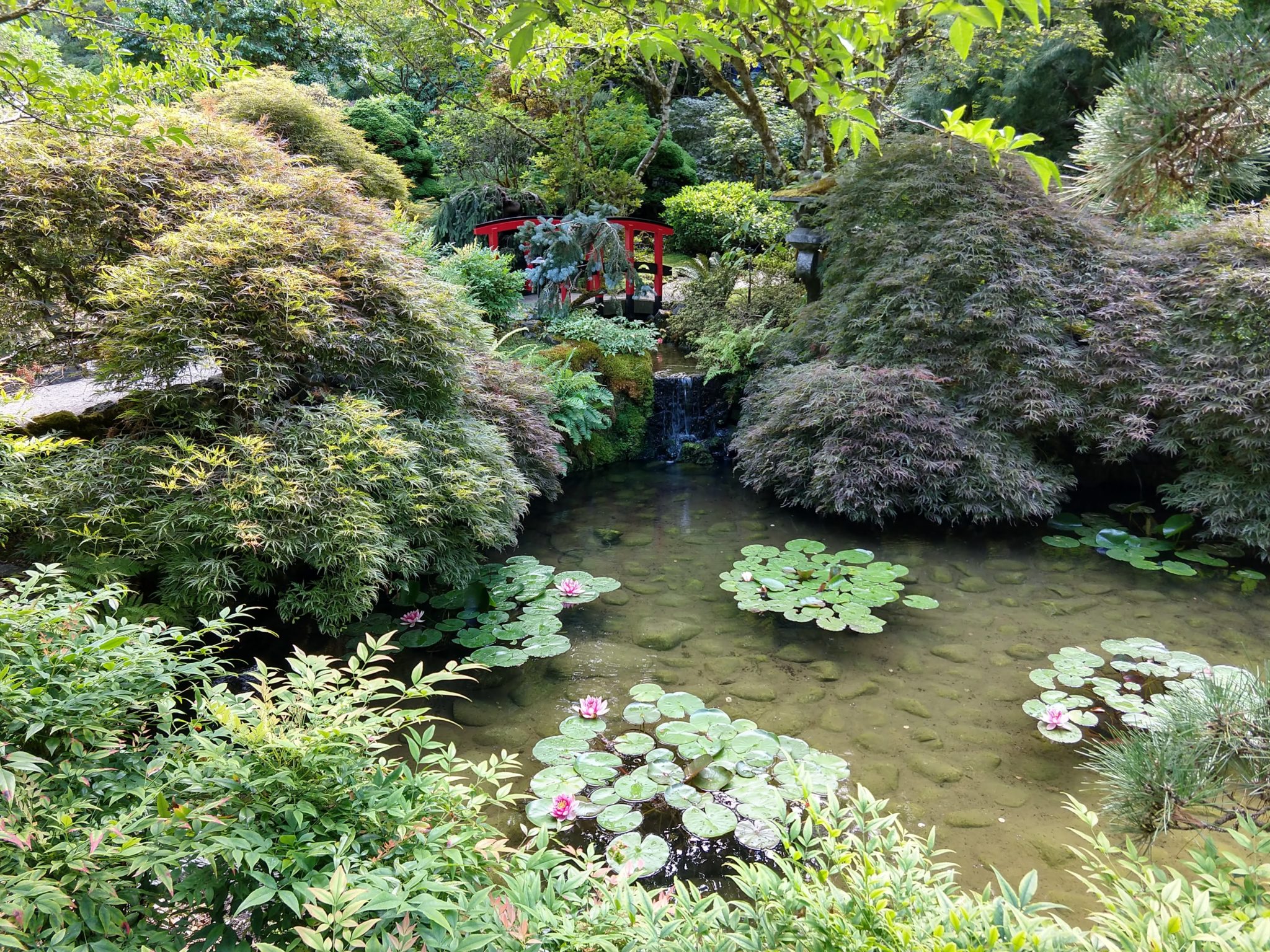 Butchart Gardens