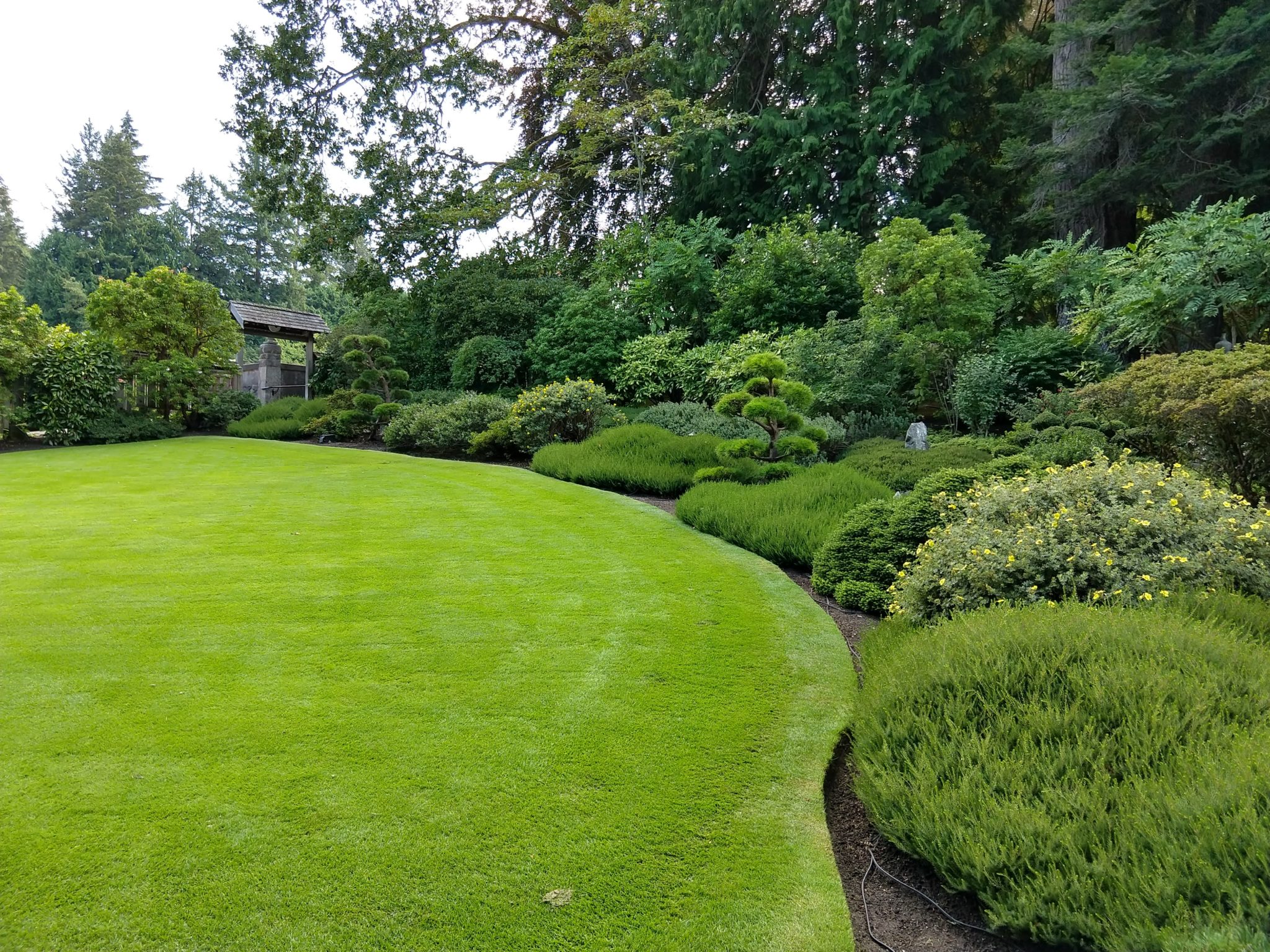 Butchart Gardens