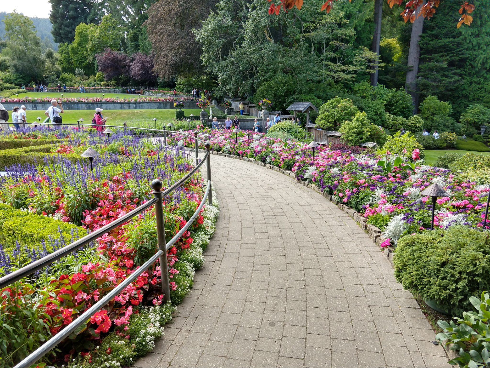 Butchart Gardens