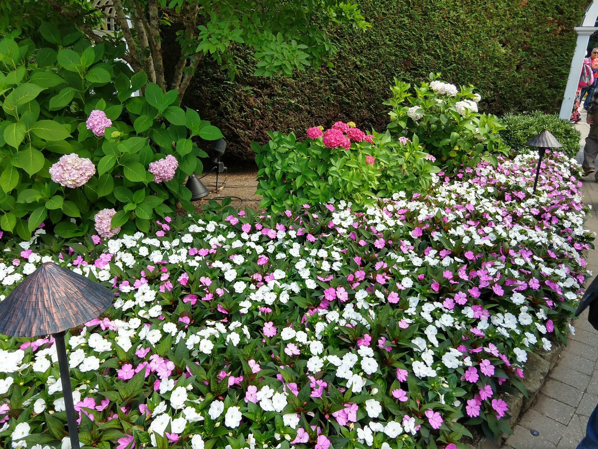 Butchart Gardens