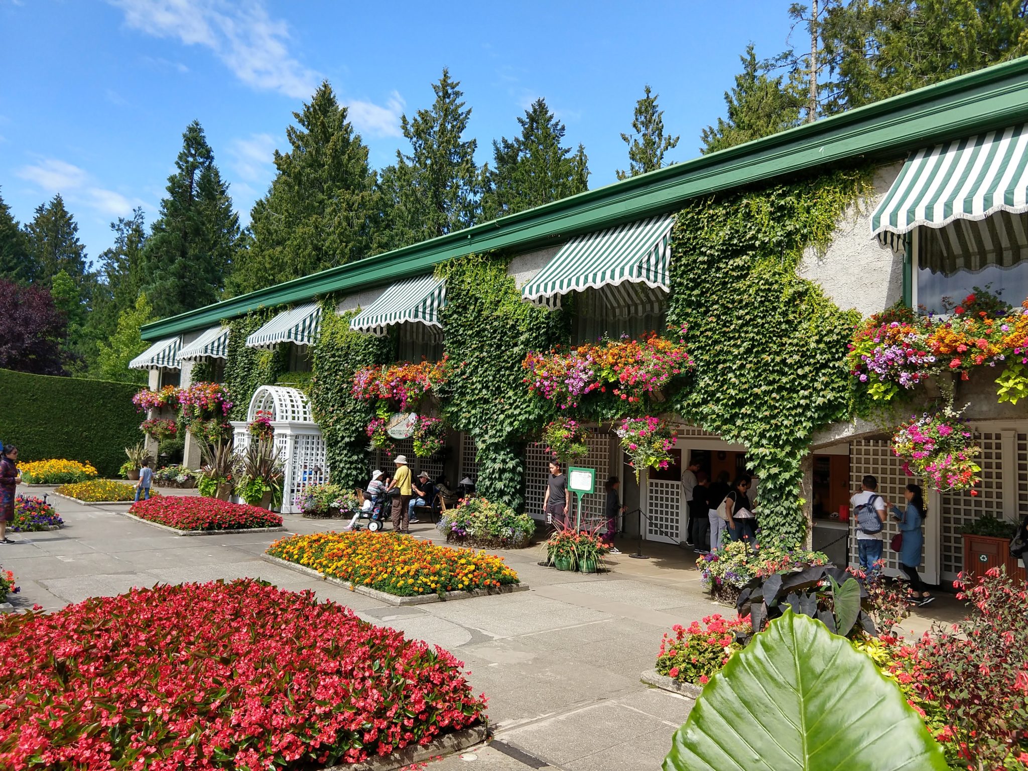 Butchart Gardens