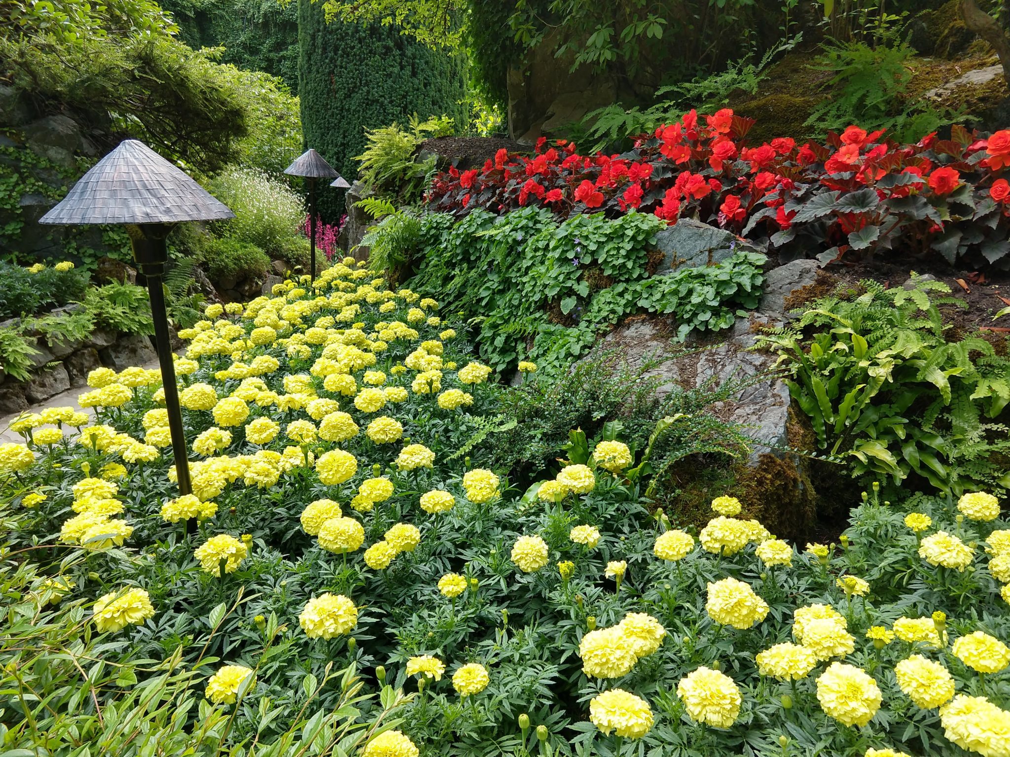 Butchart Gardens