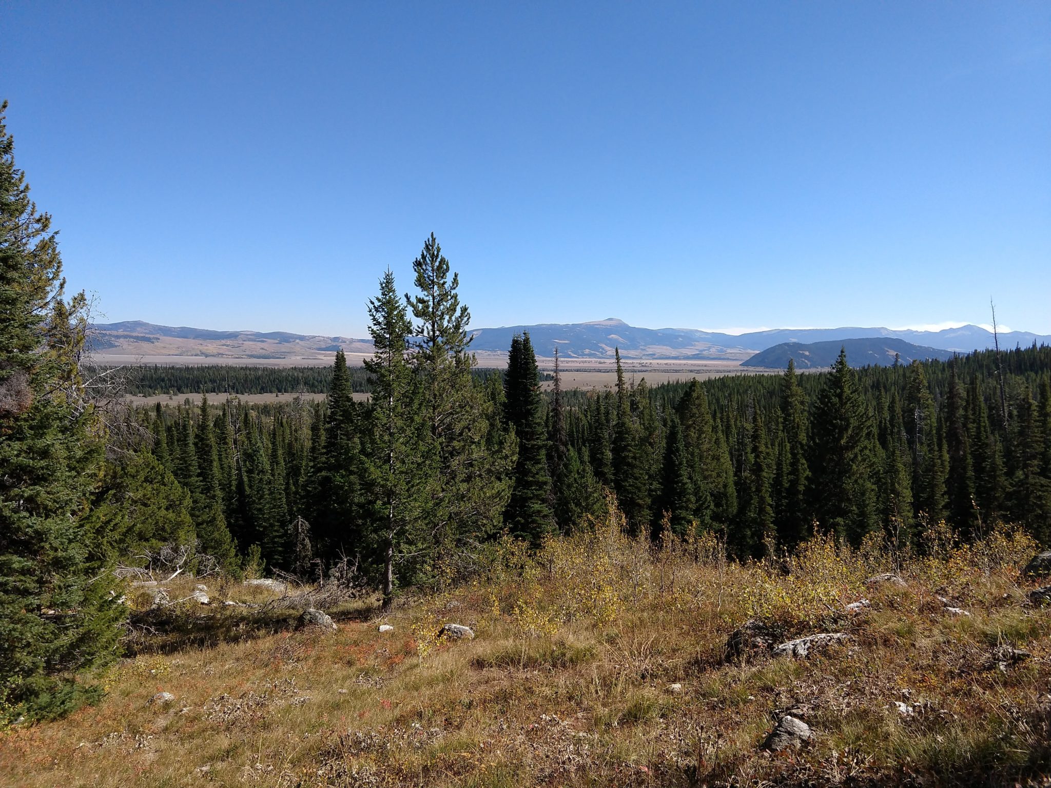 Grand Teton National Park