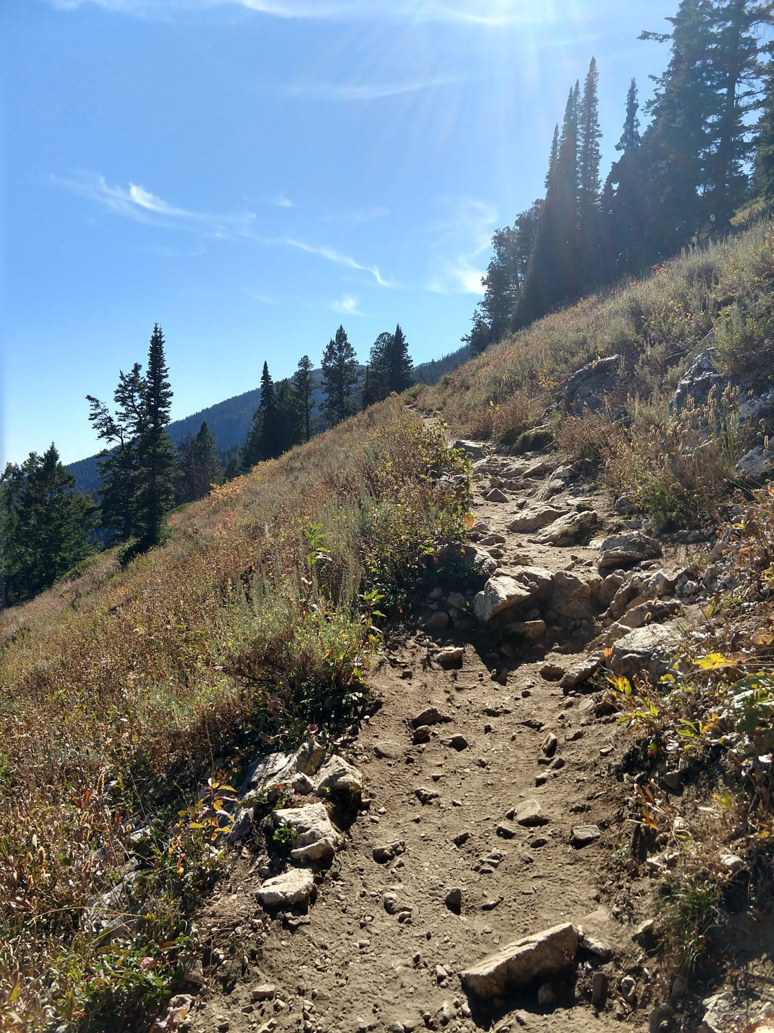 Grand Teton National Park