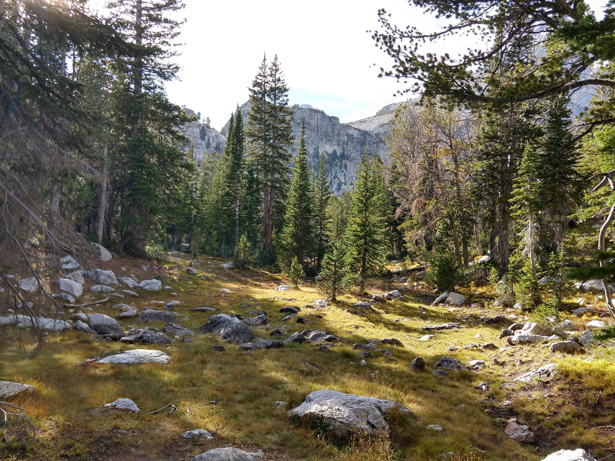 Grand Teton National Park