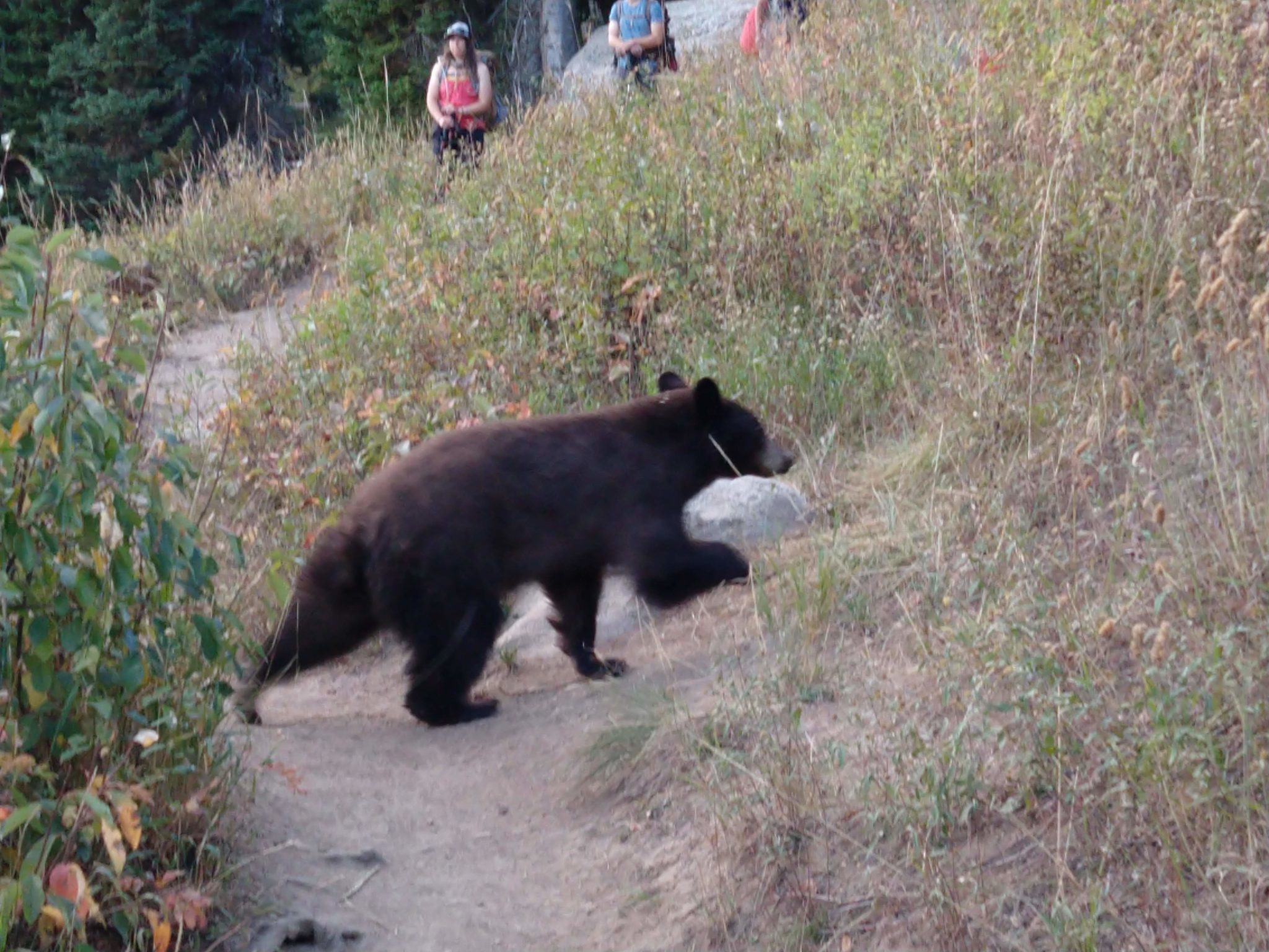 Grand Teton National Park