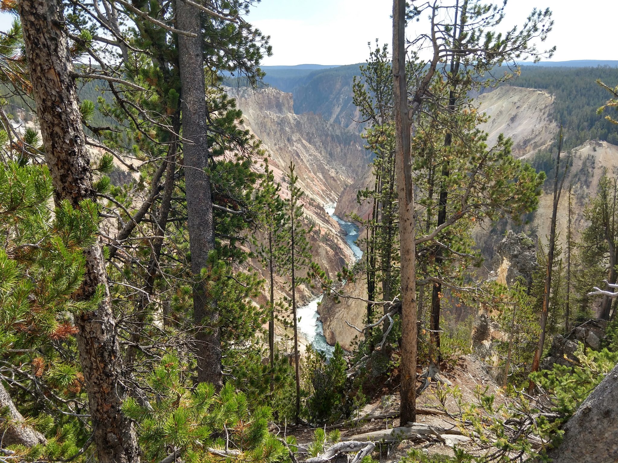 Yellowstone Hikes