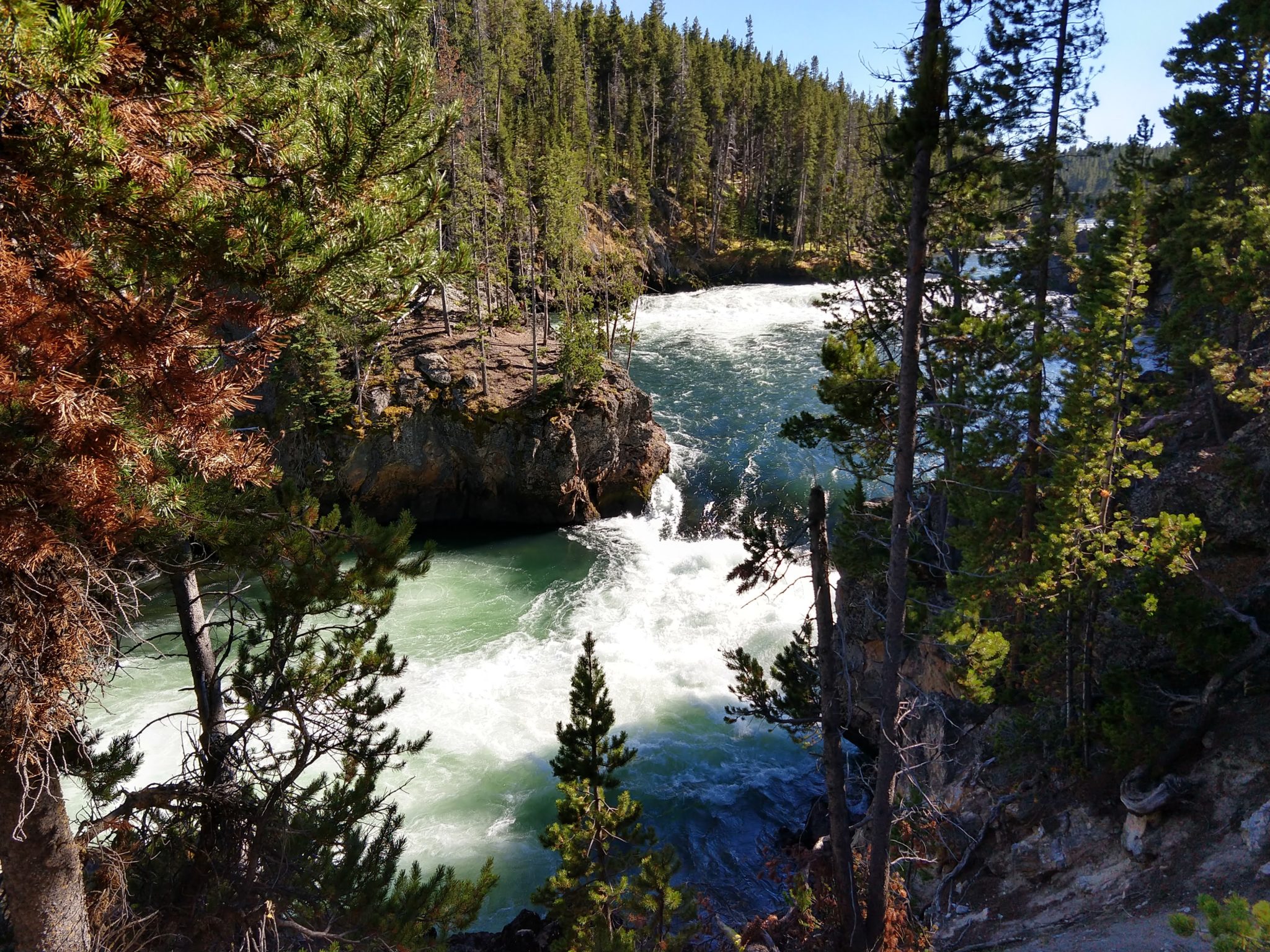 Yellowstone Hikes