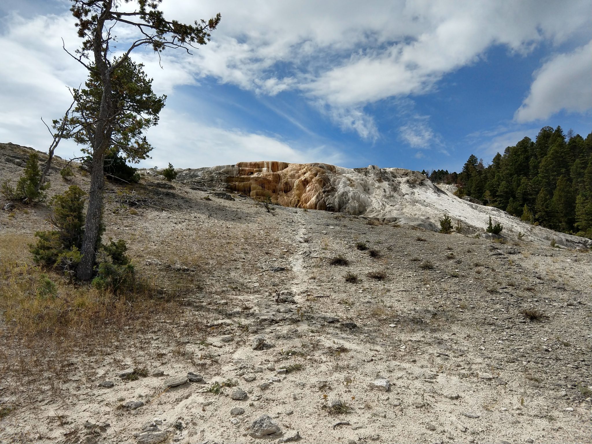 Hot Springs, Steam Vents, and Geysers Oh My!