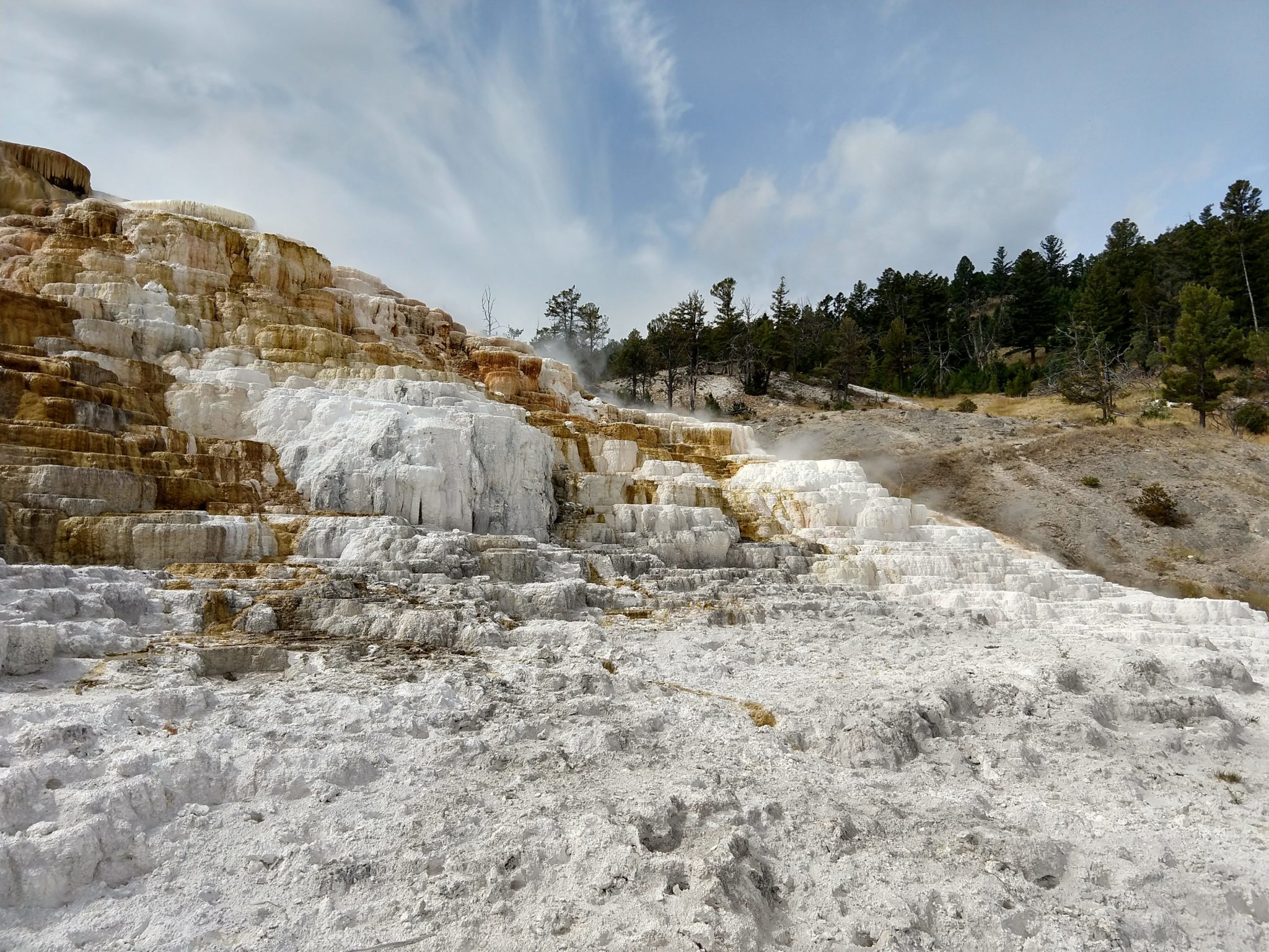 Hot Springs, Steam Vents, and Geysers Oh My!