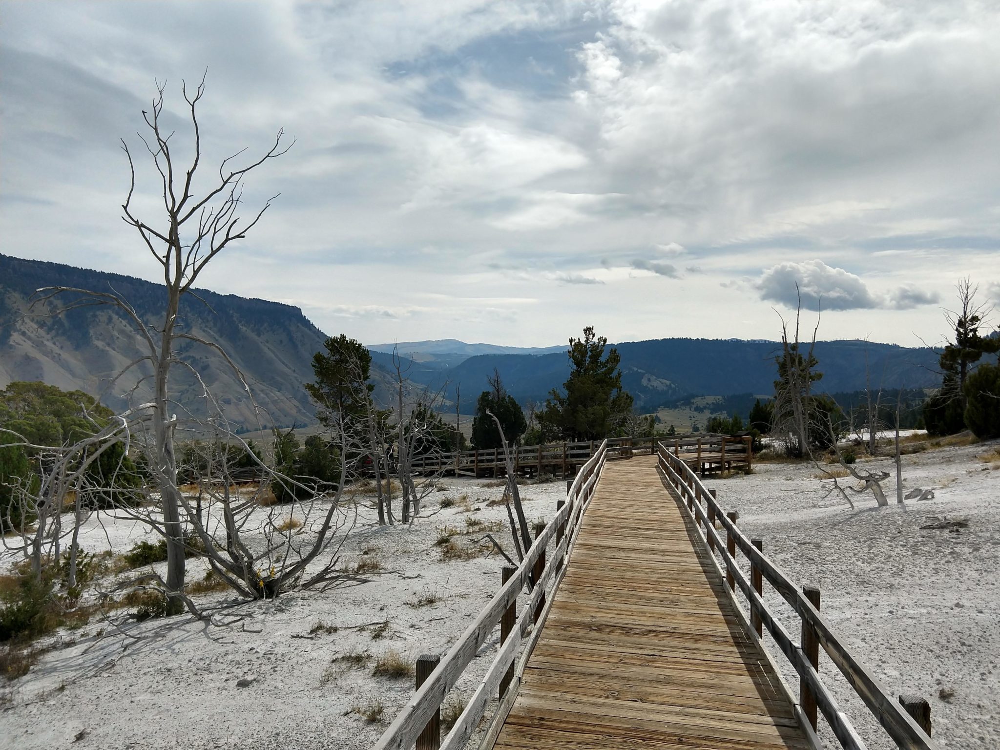 Hot Springs, Steam Vents, and Geysers Oh My!