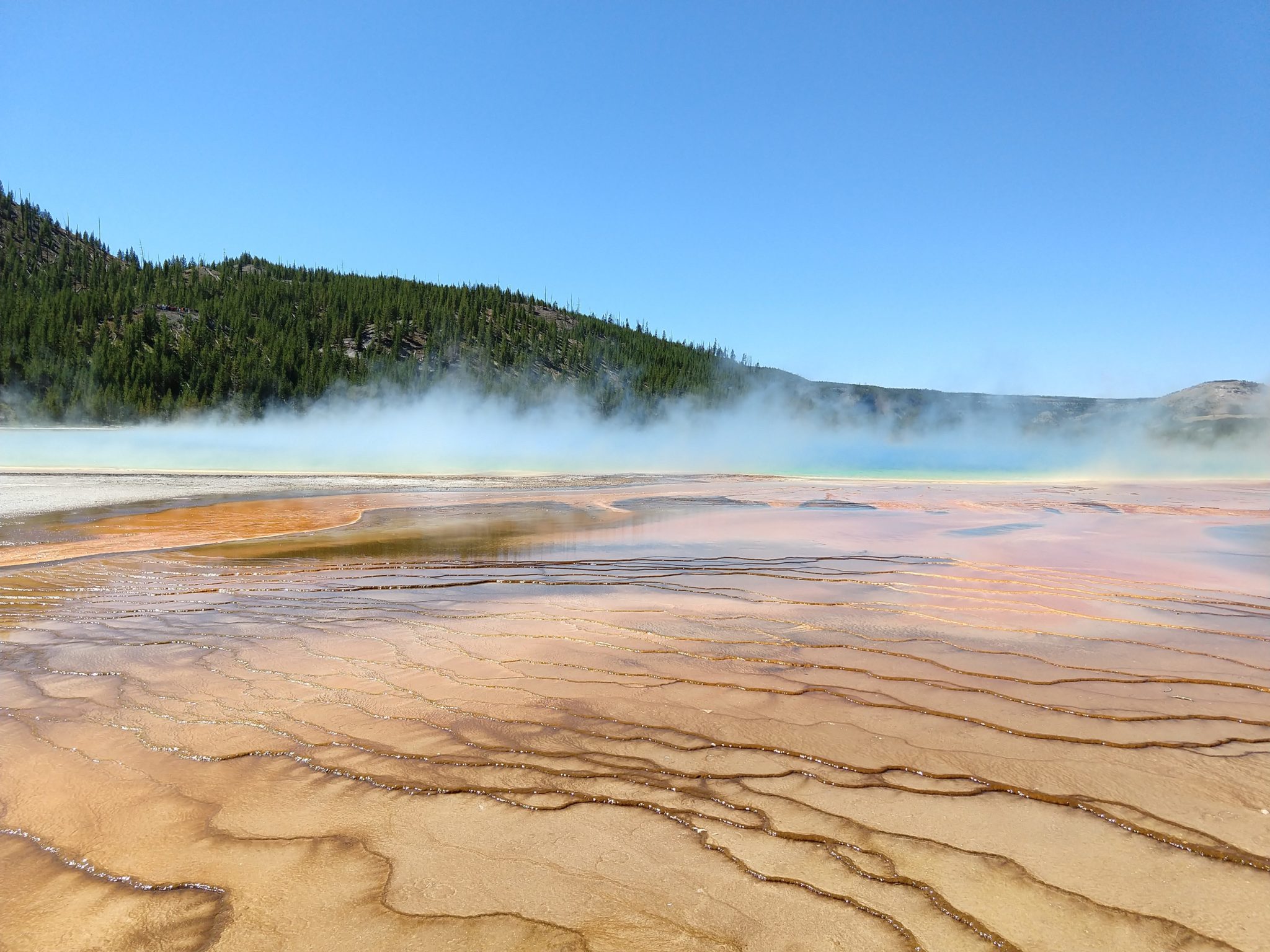 Hot Springs, Steam Vents, and Geysers Oh My!