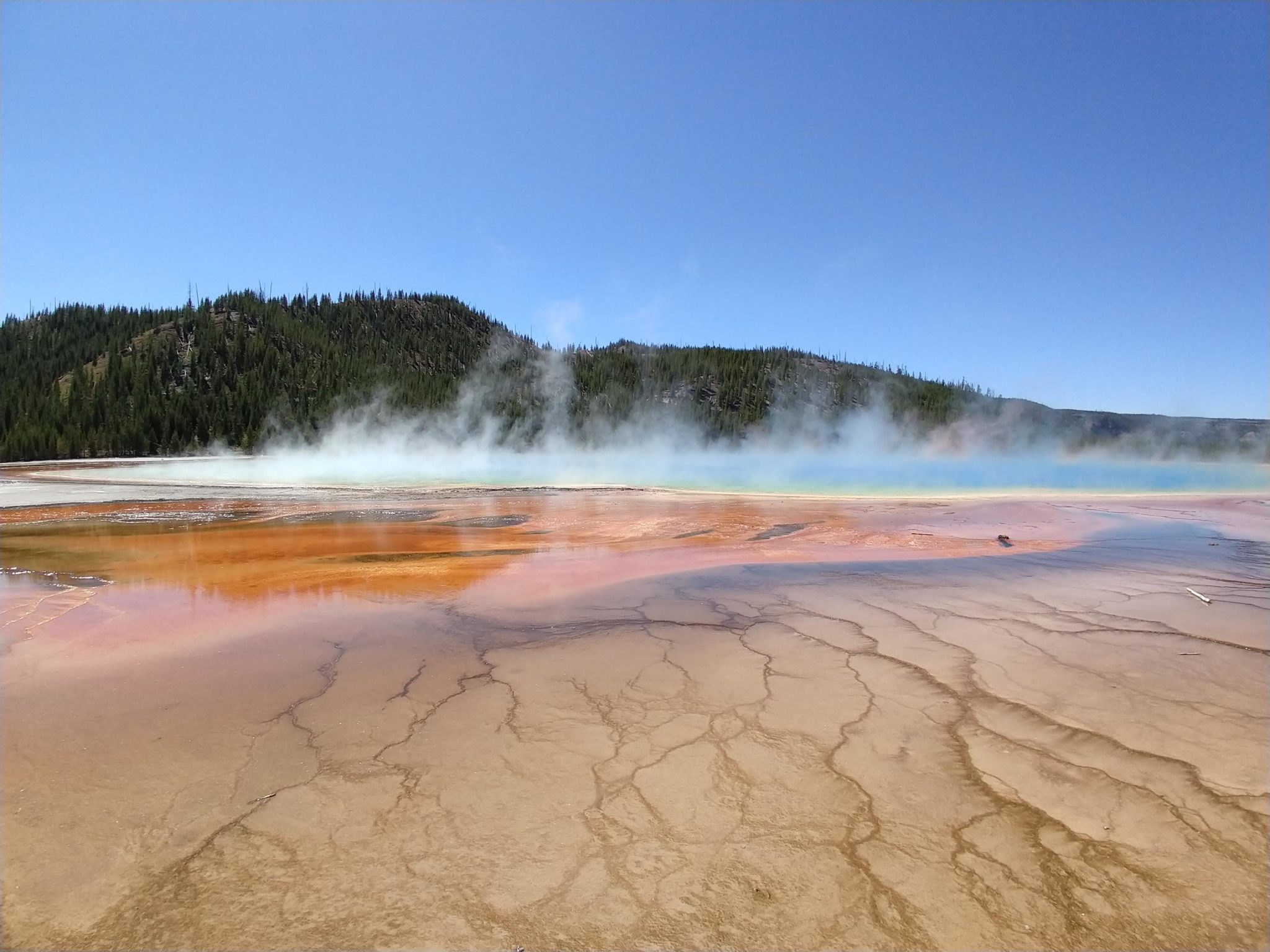 Hot Springs, Steam Vents, and Geysers Oh My!