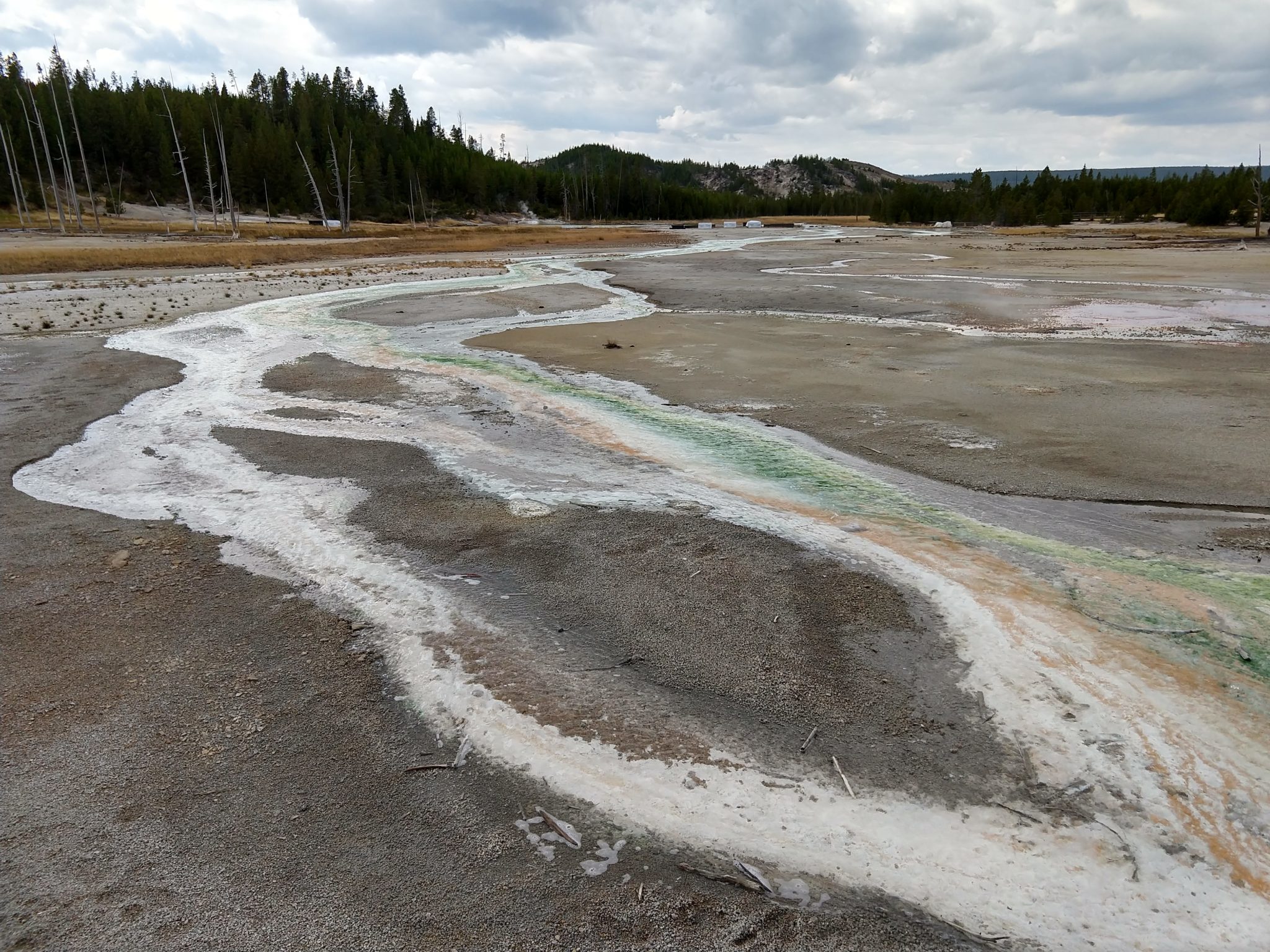 Hot Springs, Steam Vents, and Geysers Oh My!