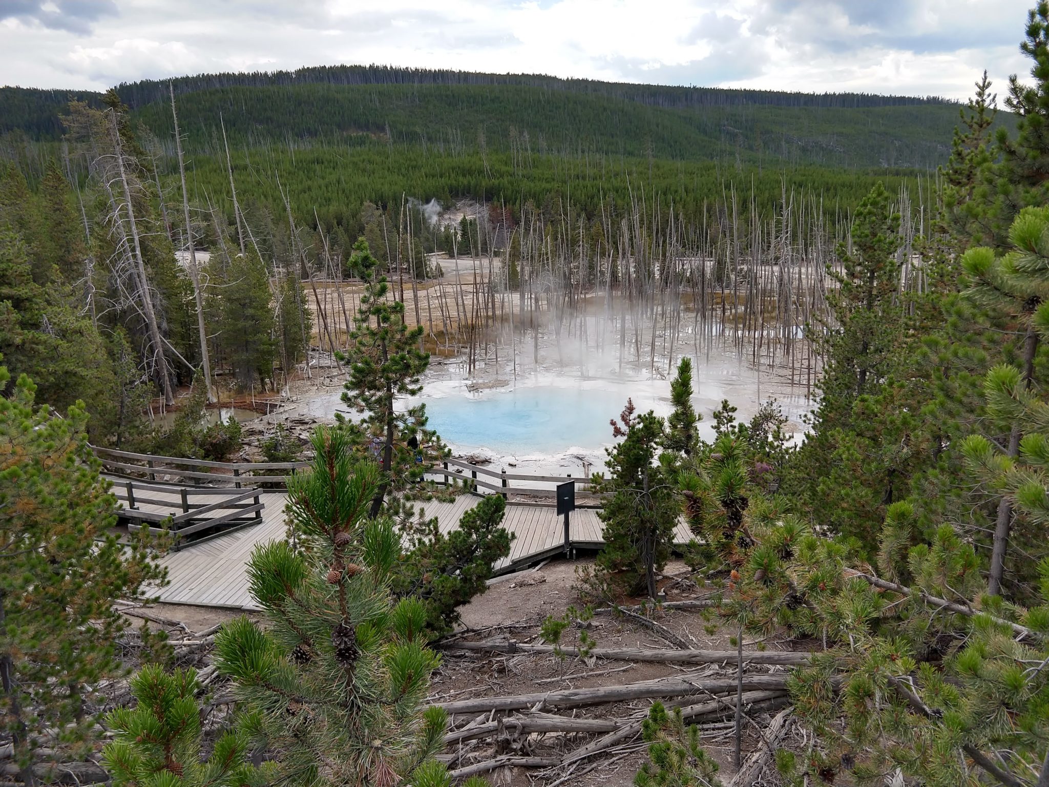 Hot Springs, Steam Vents, and Geysers Oh My!