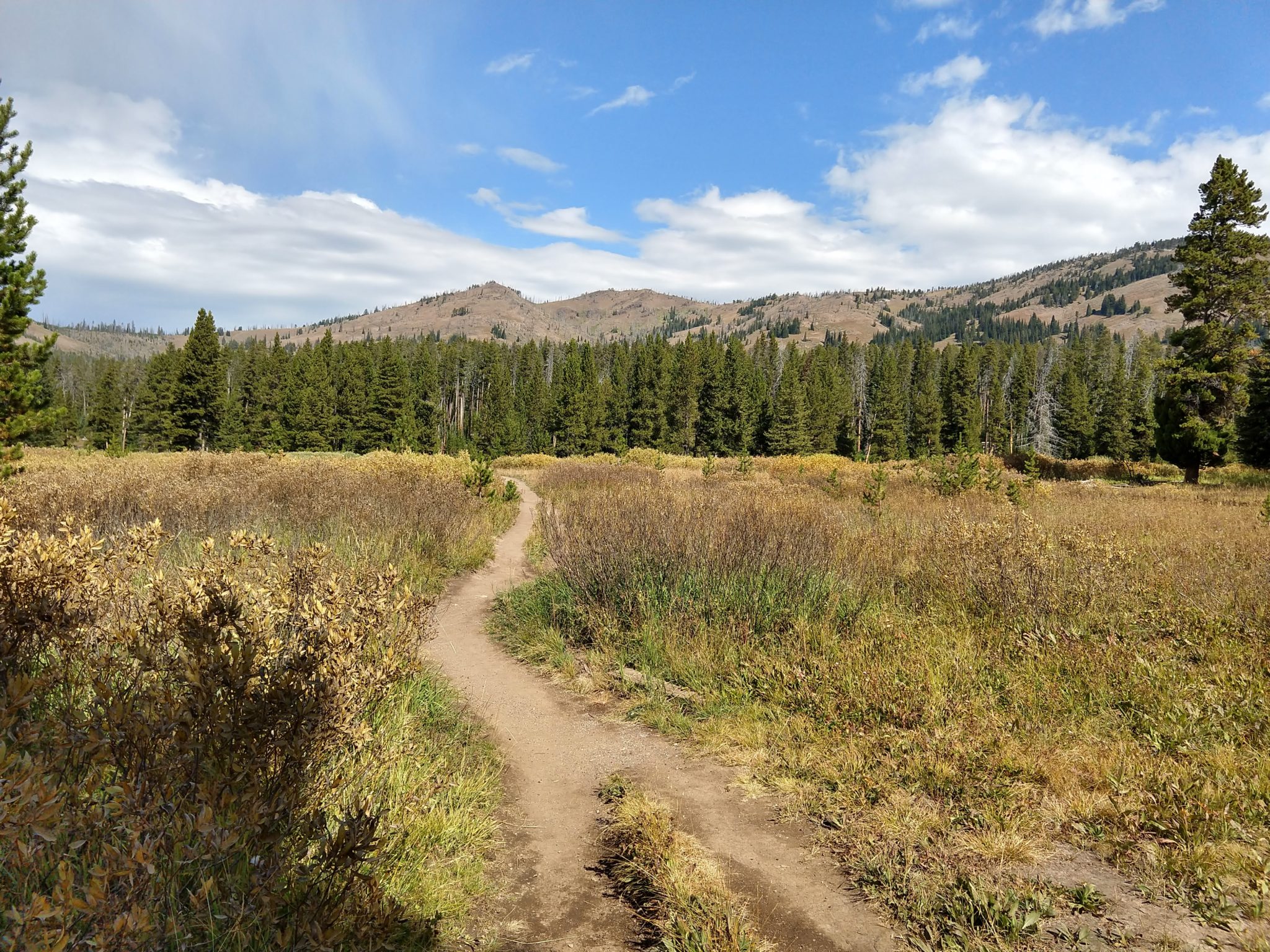 Yellowstone Hikes