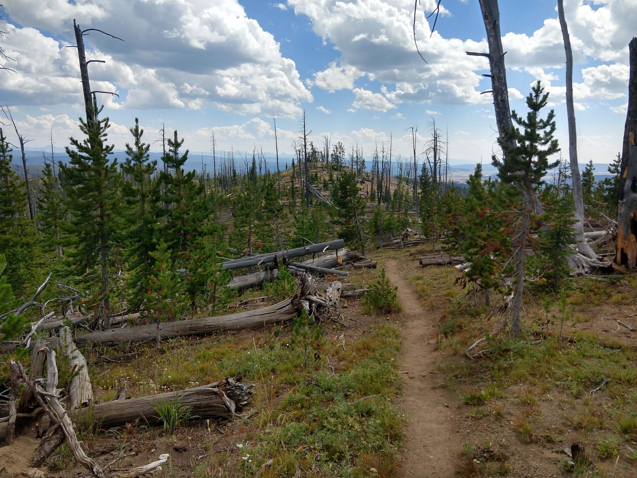 Yellowstone Hikes