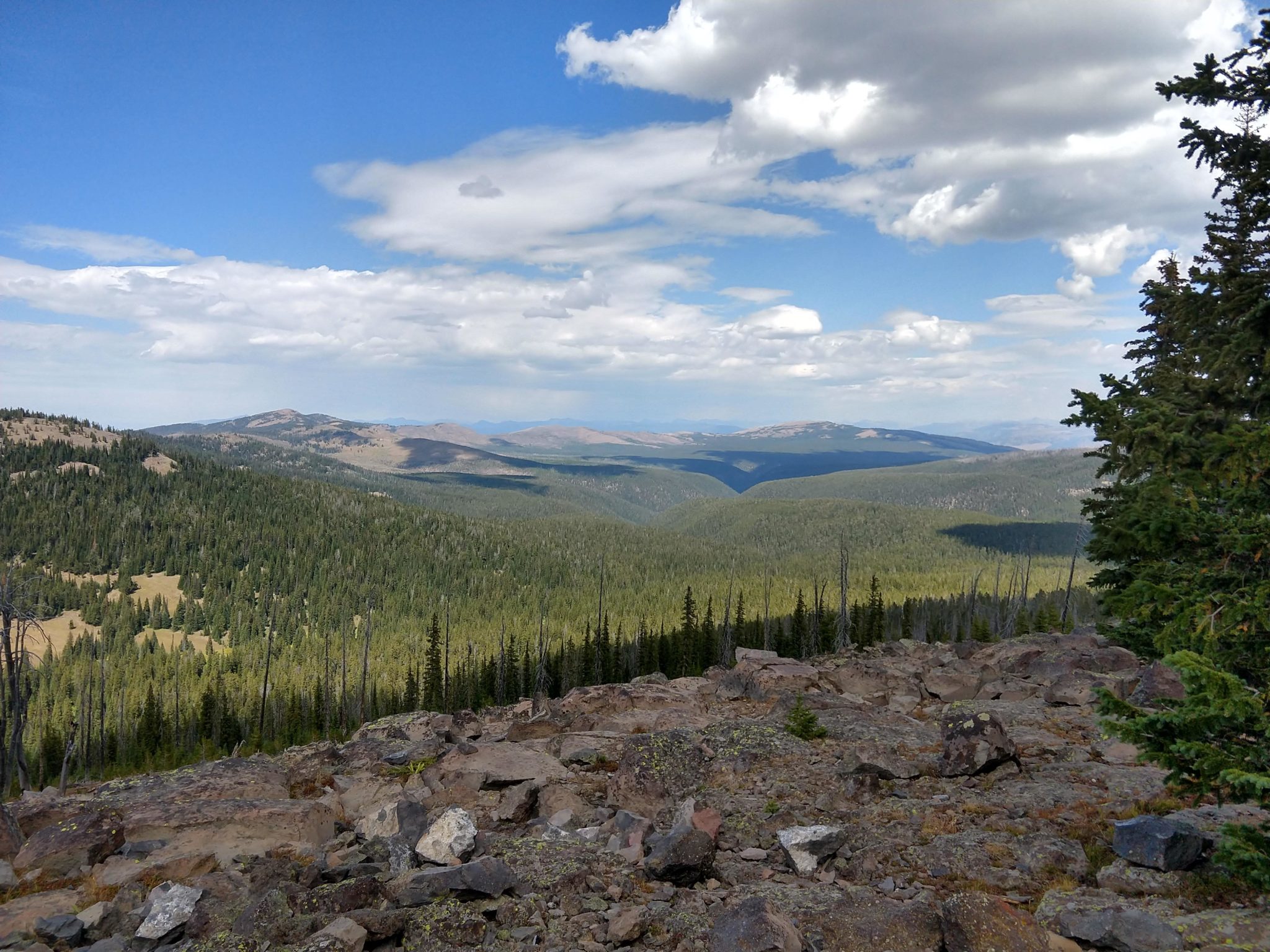 Yellowstone Hikes