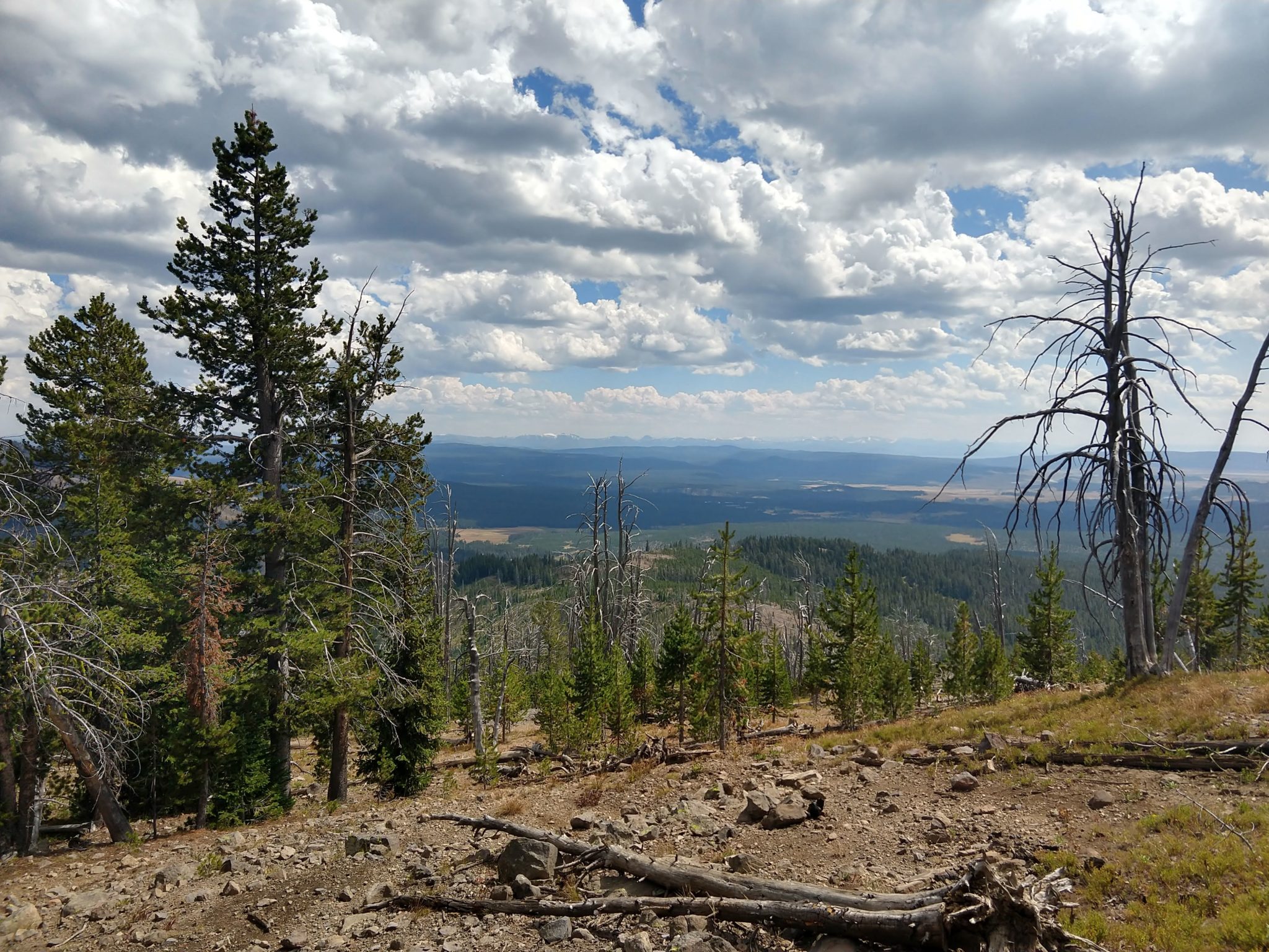 Yellowstone Hikes