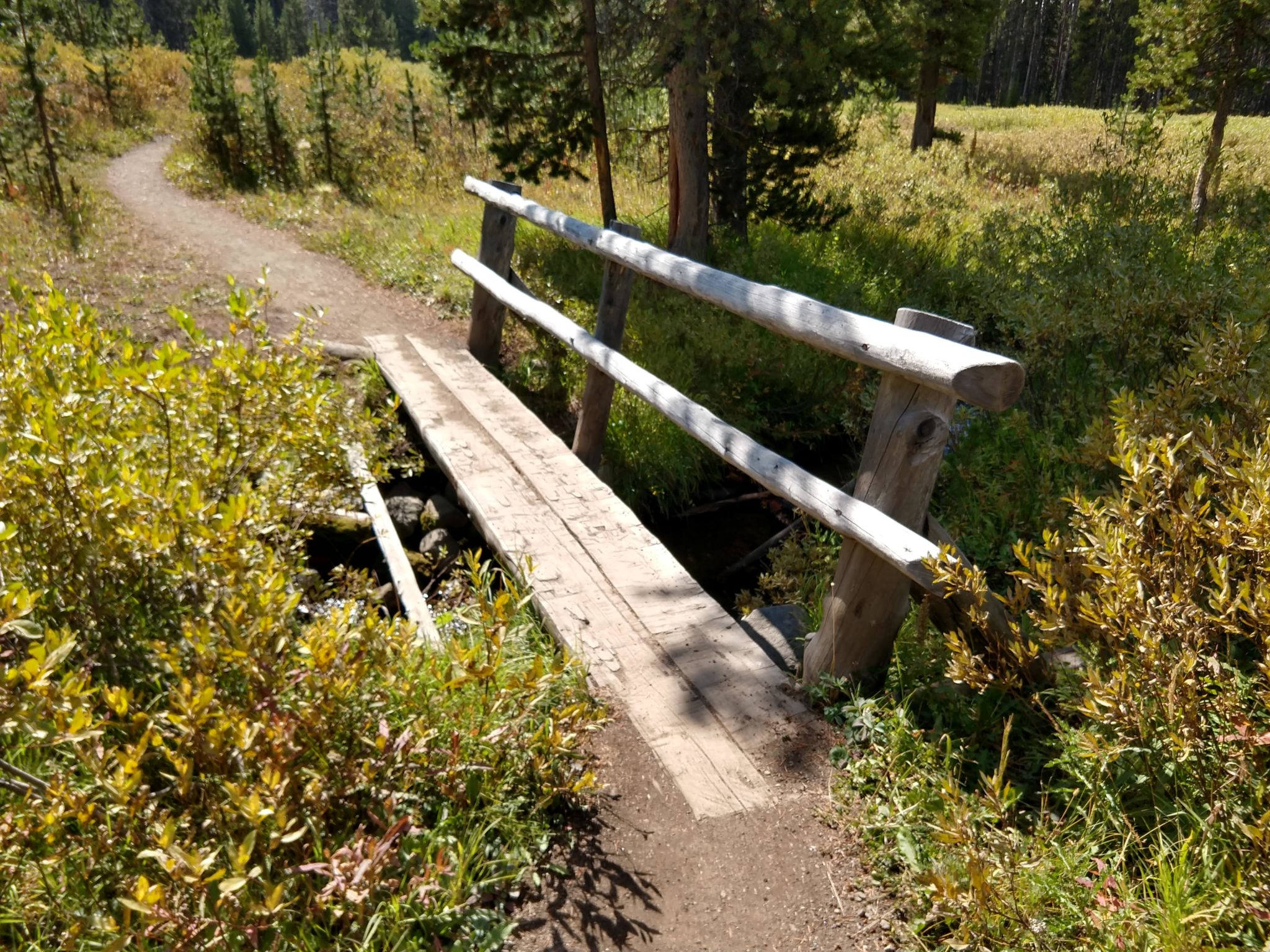 Yellowstone Hikes