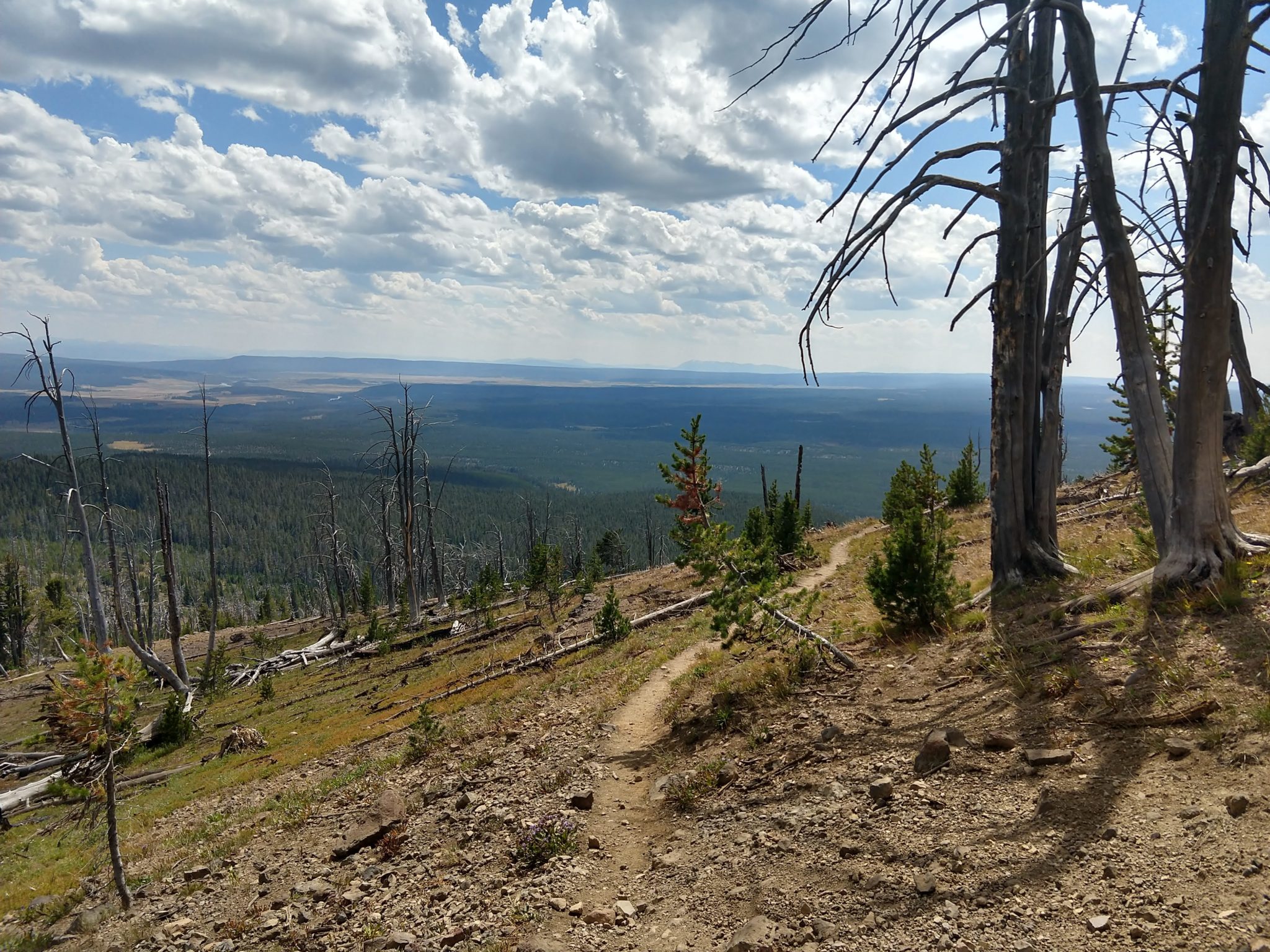 Yellowstone Hikes