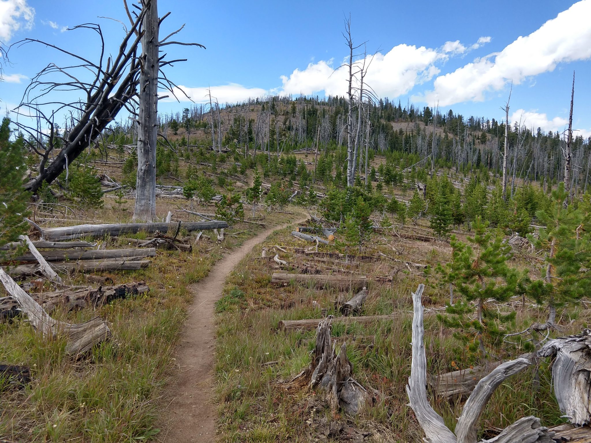 Yellowstone Hikes