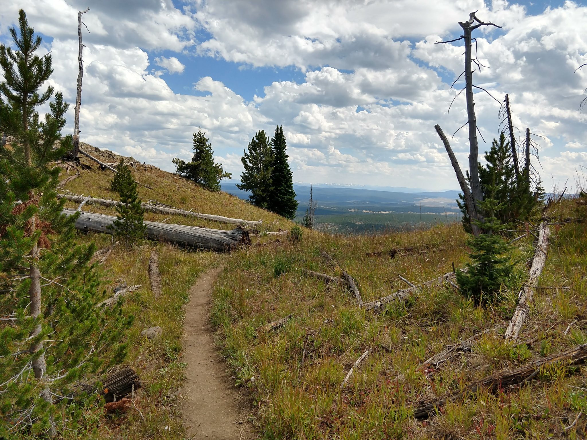 Yellowstone Hikes