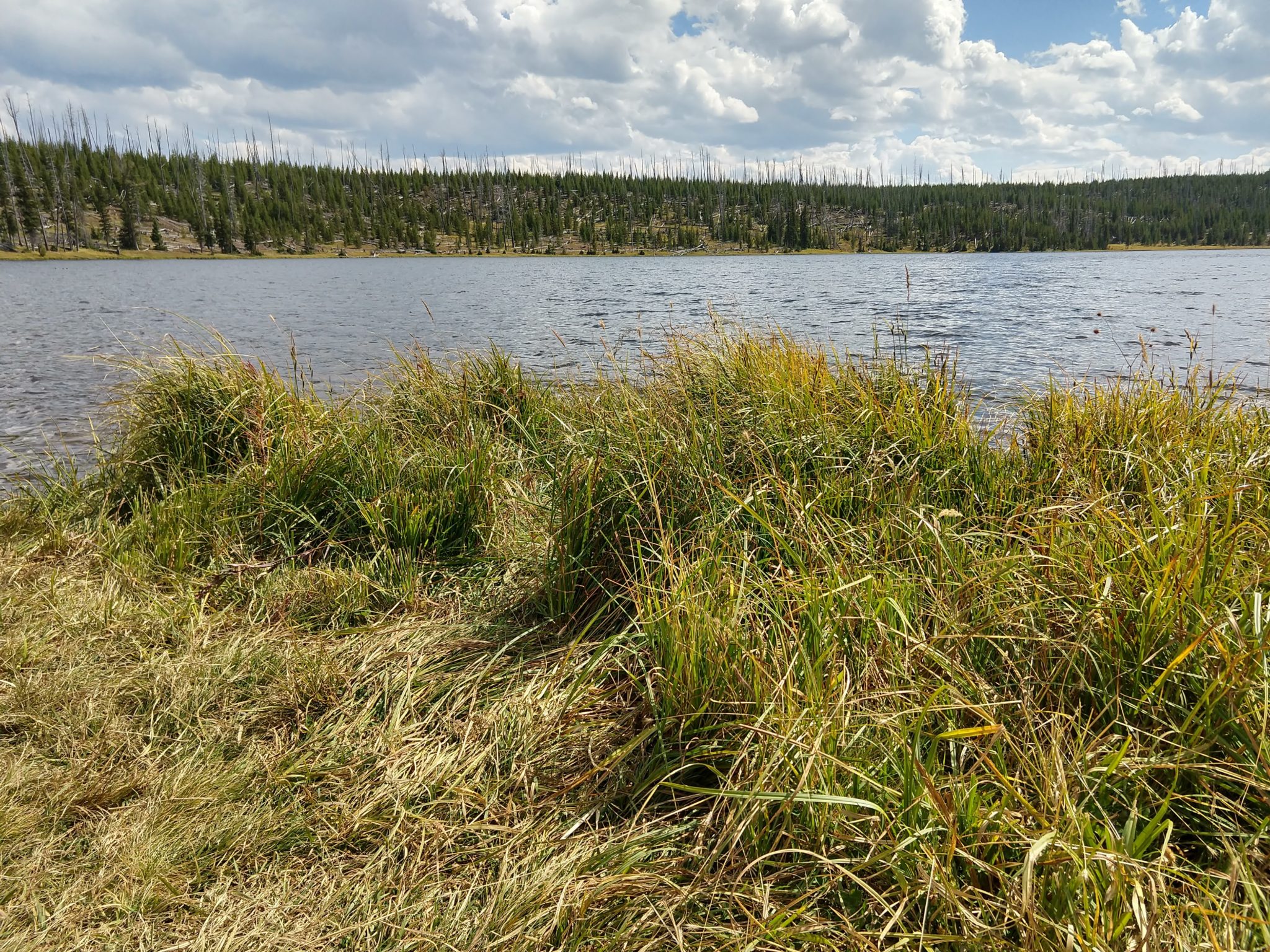 Yellowstone Hikes