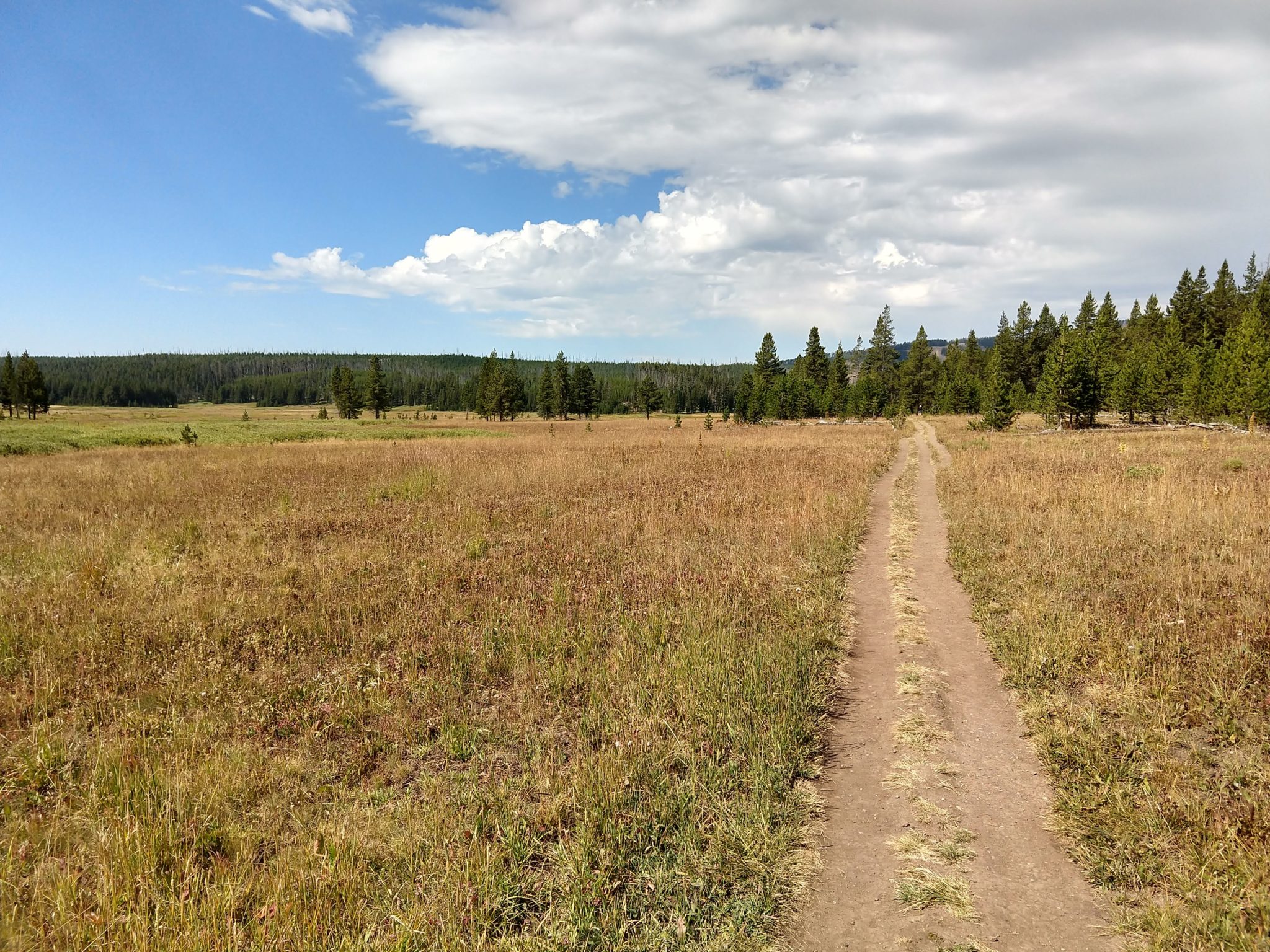 Yellowstone Hikes