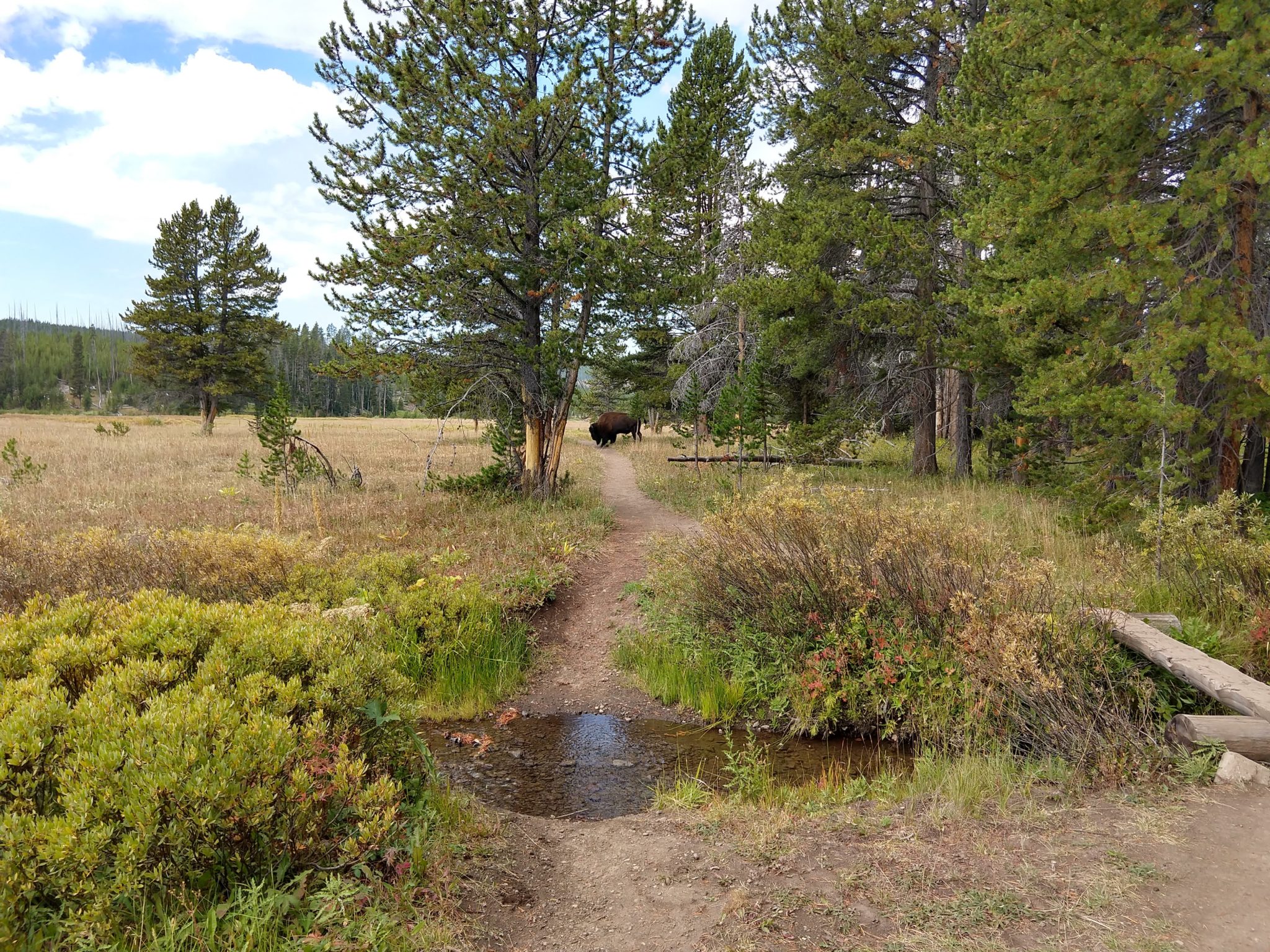 Yellowstone Hikes