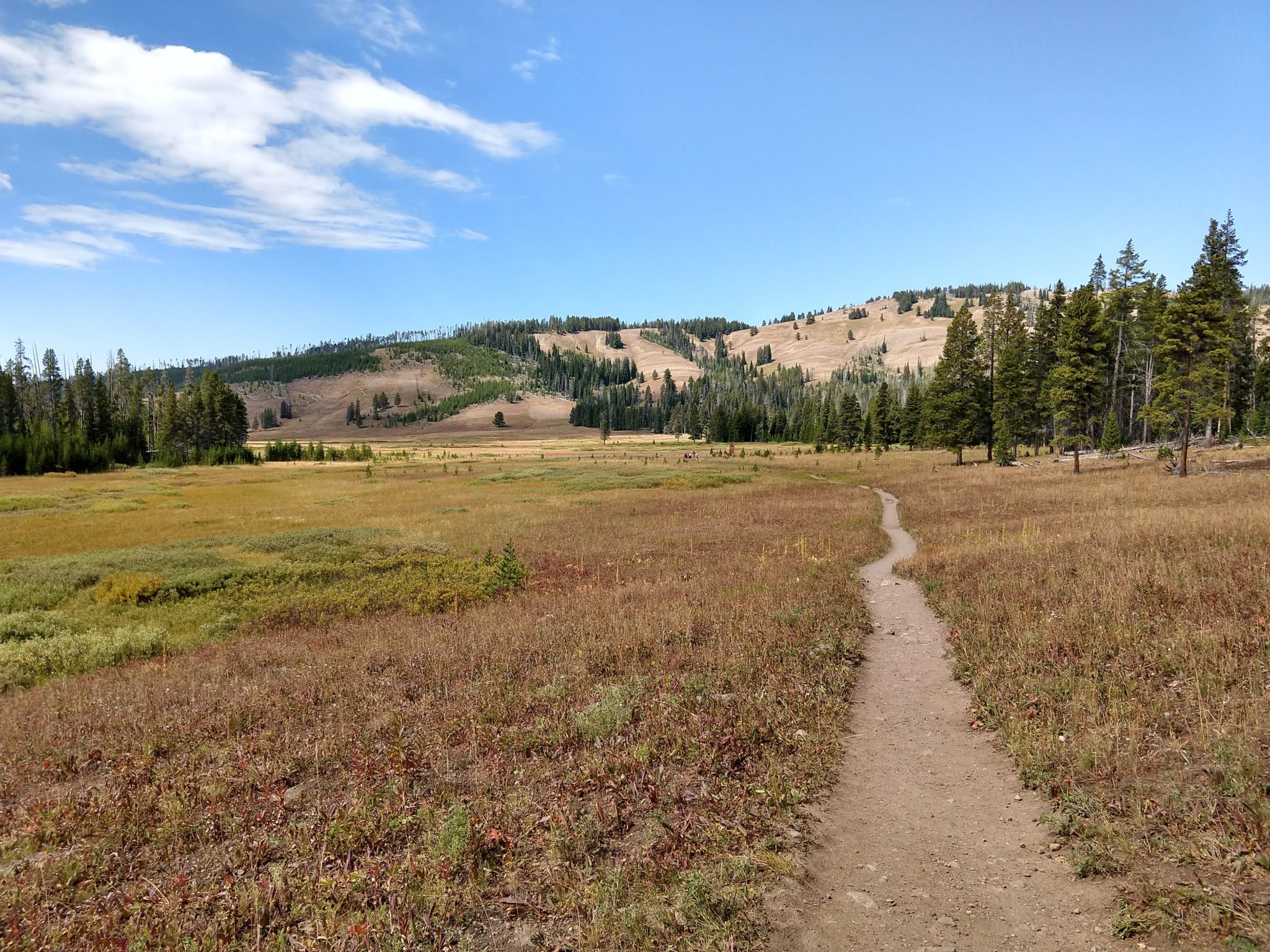 Yellowstone Hikes