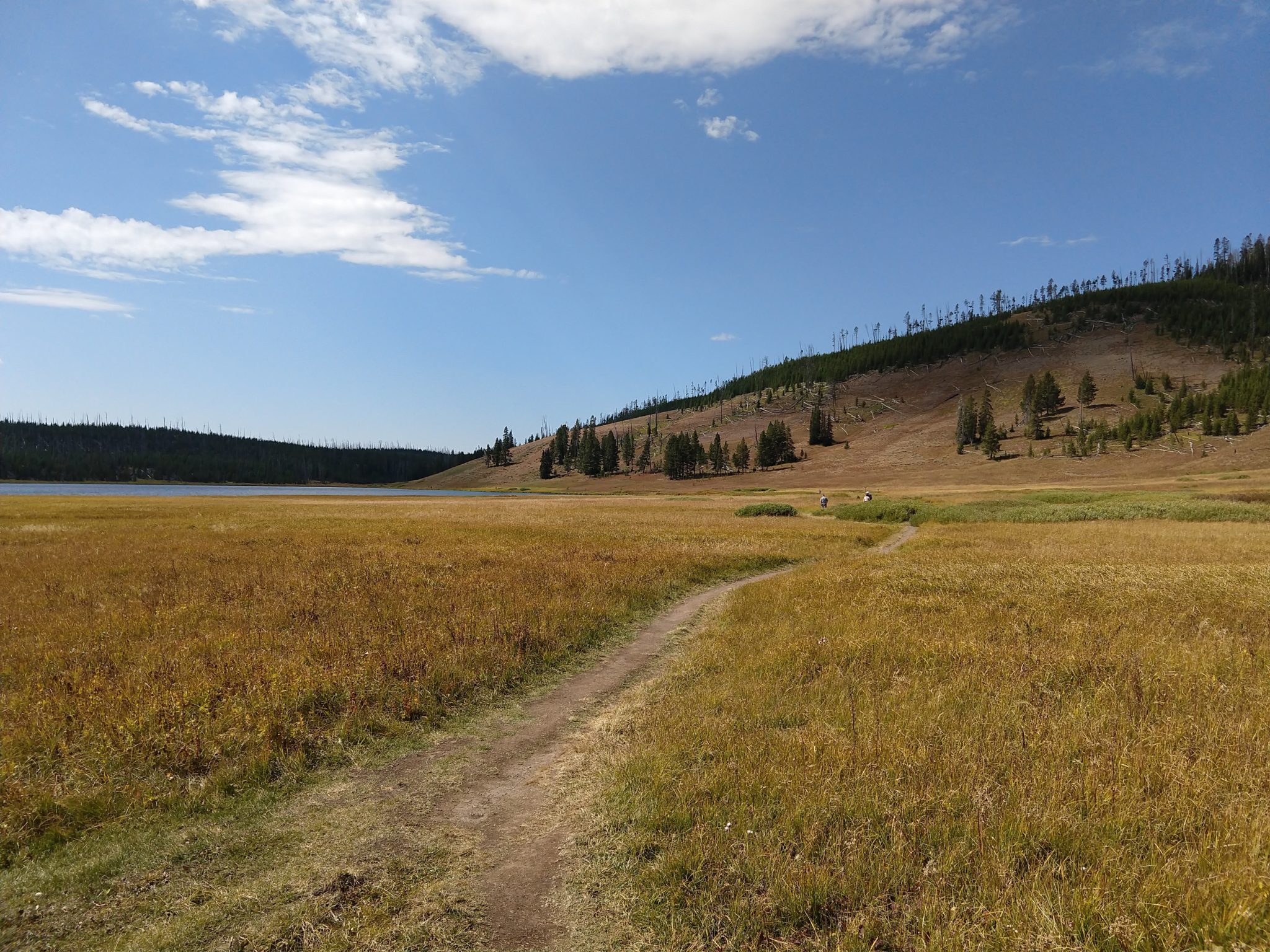 Yellowstone Hikes