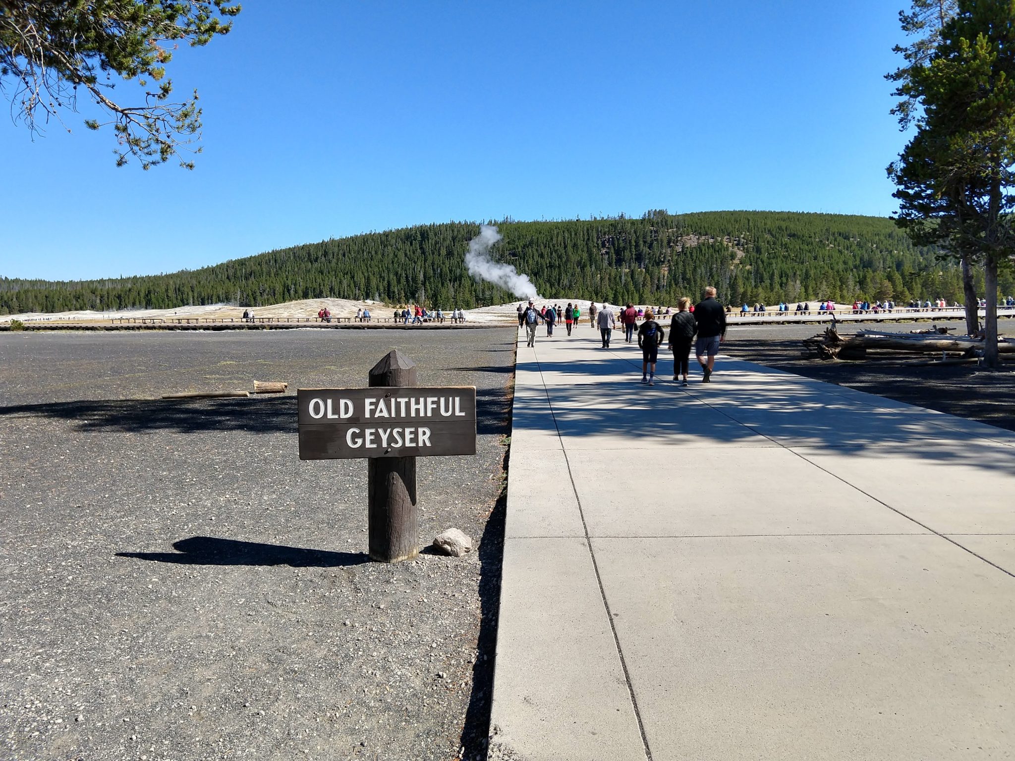 Hot Springs, Steam Vents, and Geysers Oh My!