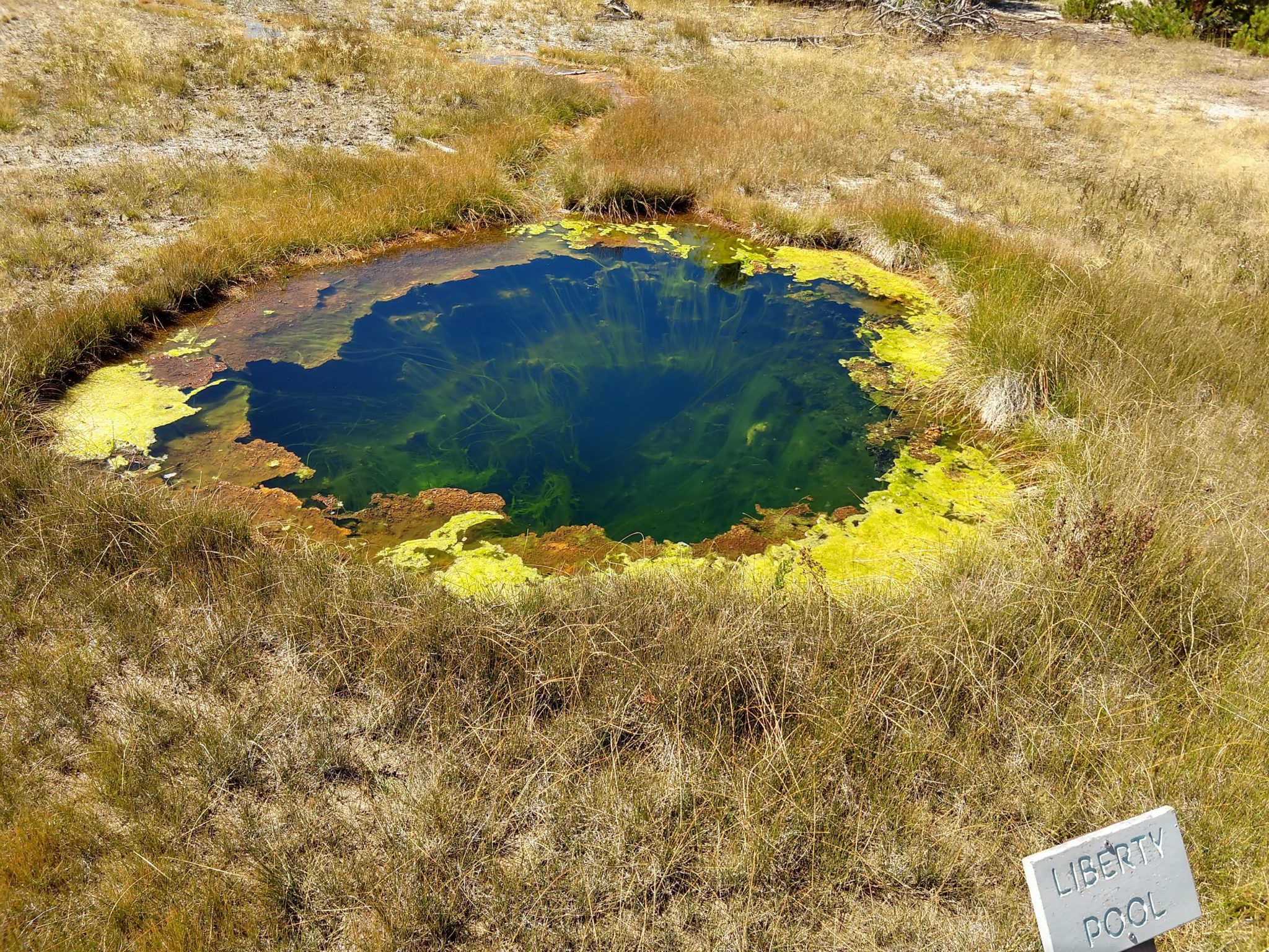 Hot Springs, Steam Vents, and Geysers Oh My!