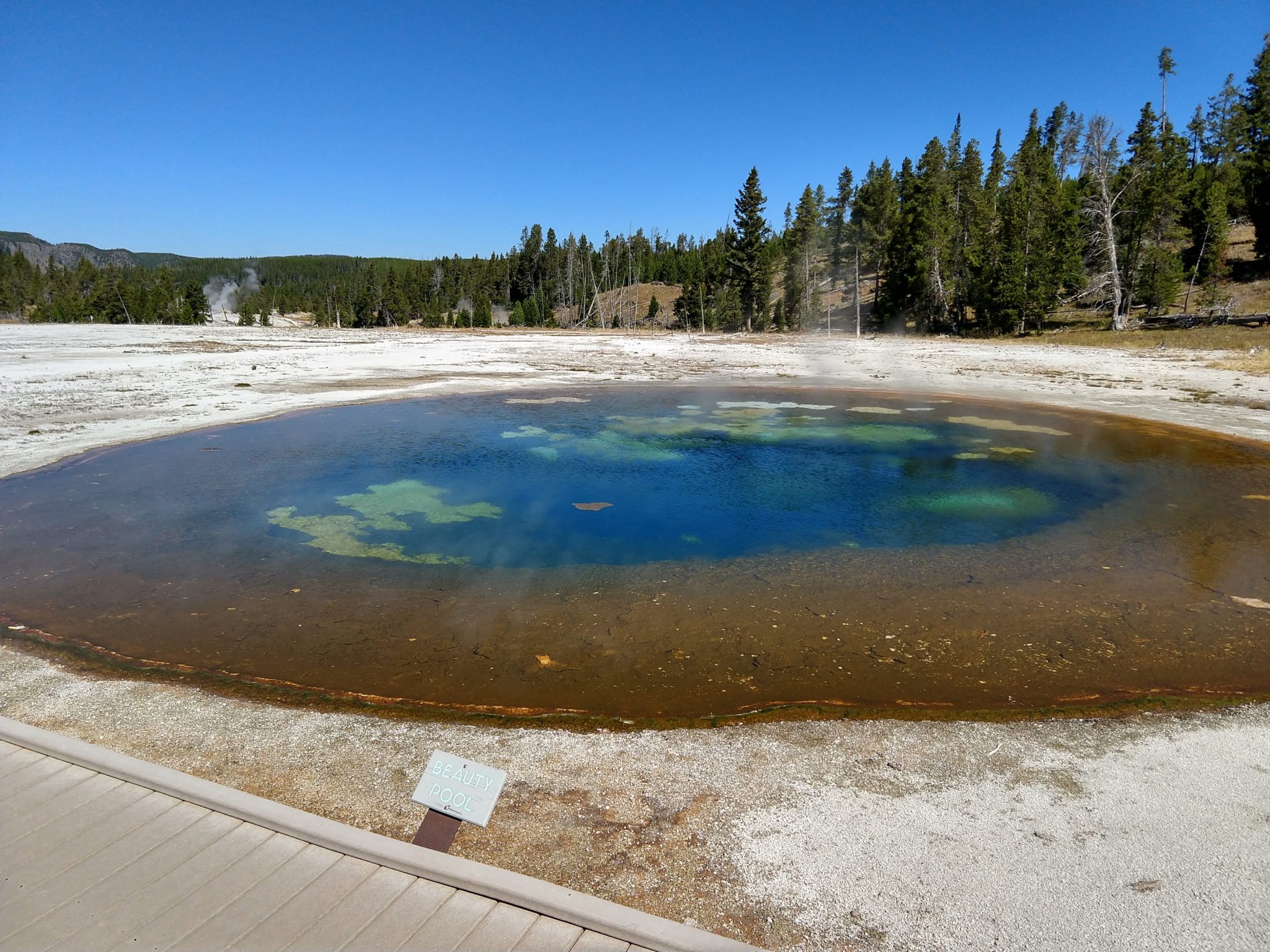 Hot Springs, Steam Vents, and Geysers Oh My!