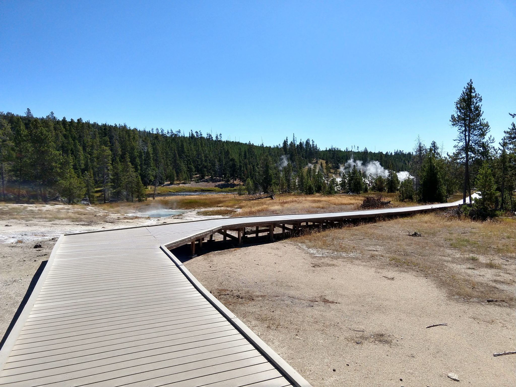 Hot Springs, Steam Vents, and Geysers Oh My!