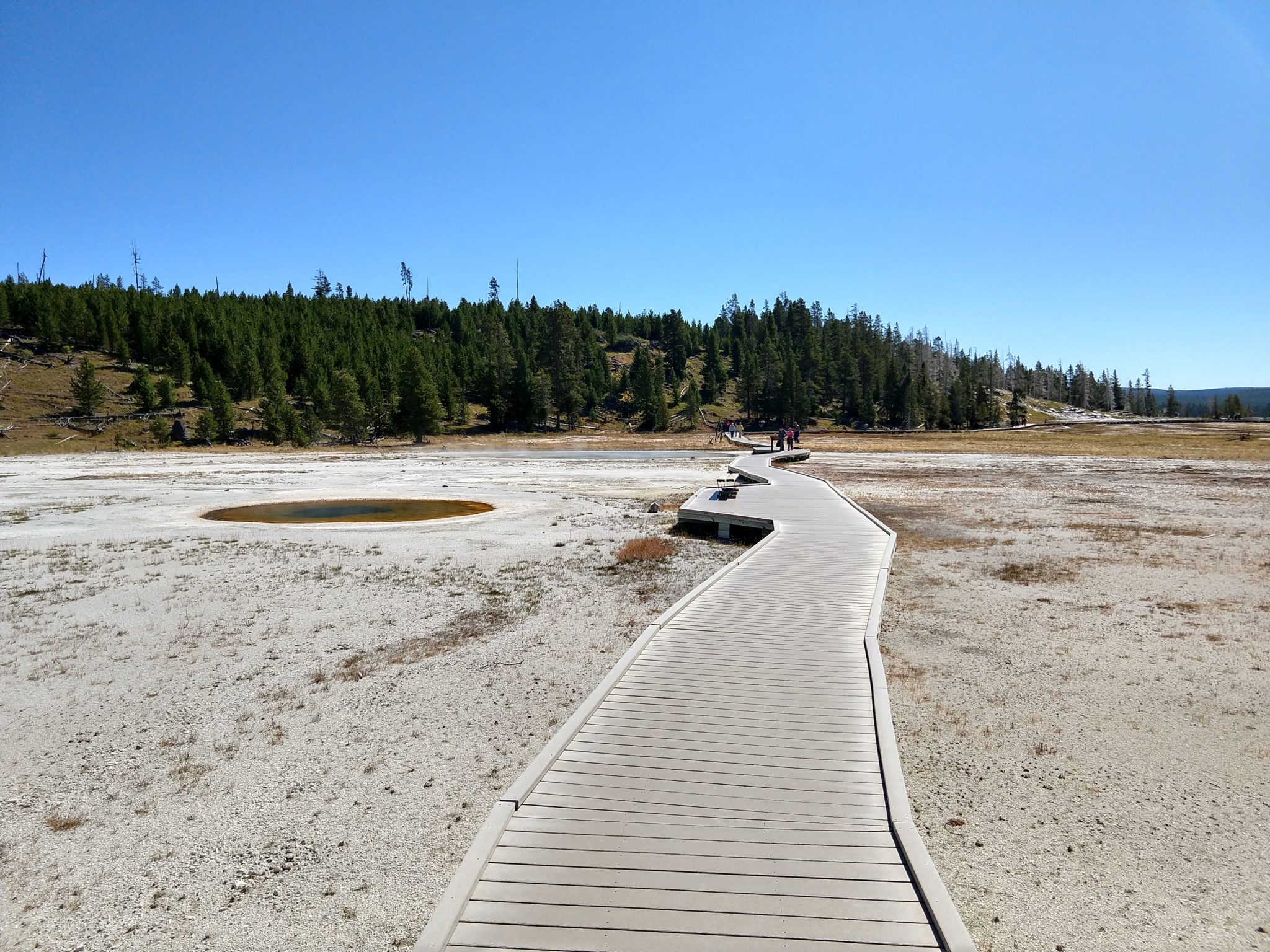 Hot Springs, Steam Vents, and Geysers Oh My!