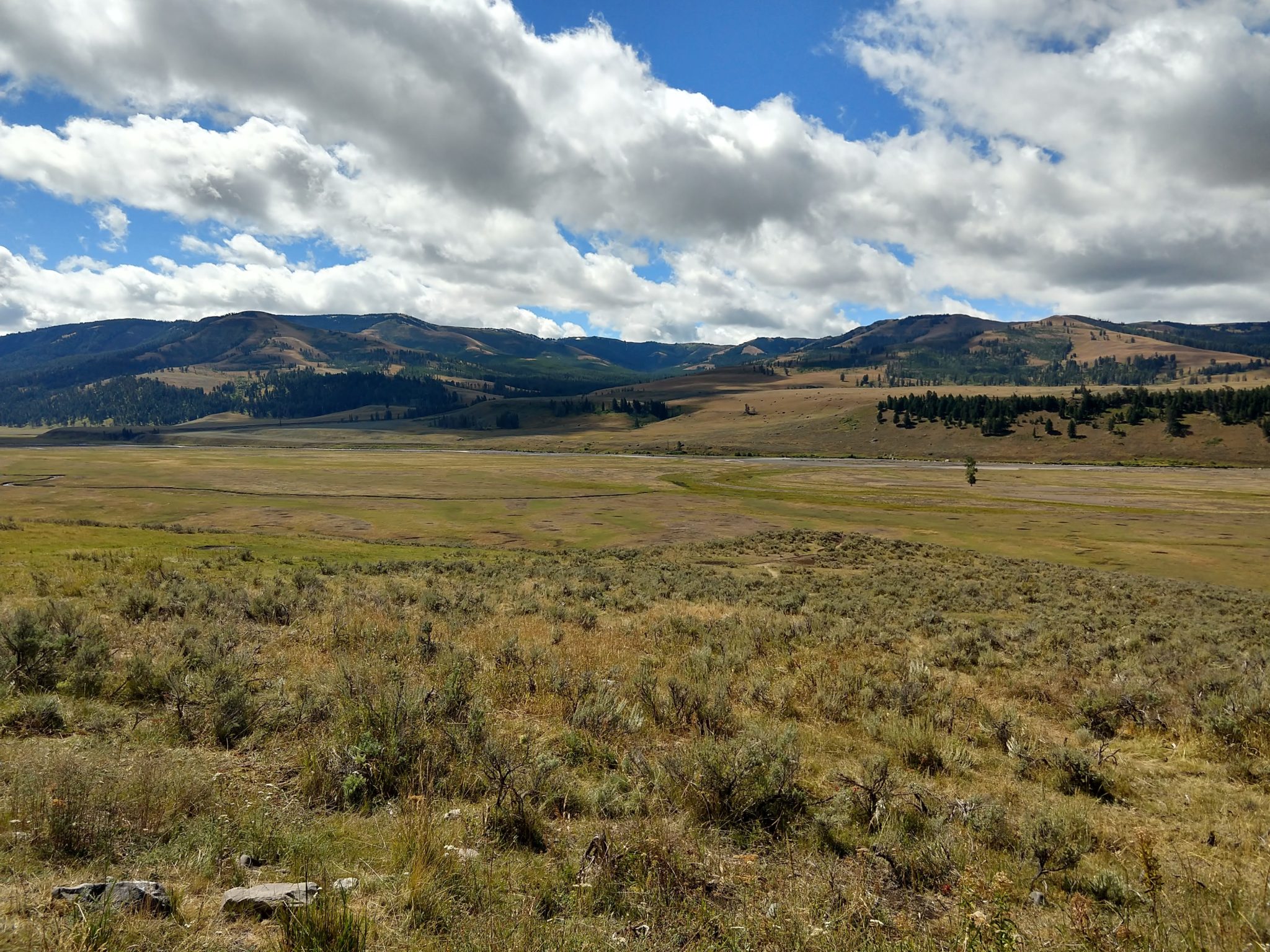 Yellowstone