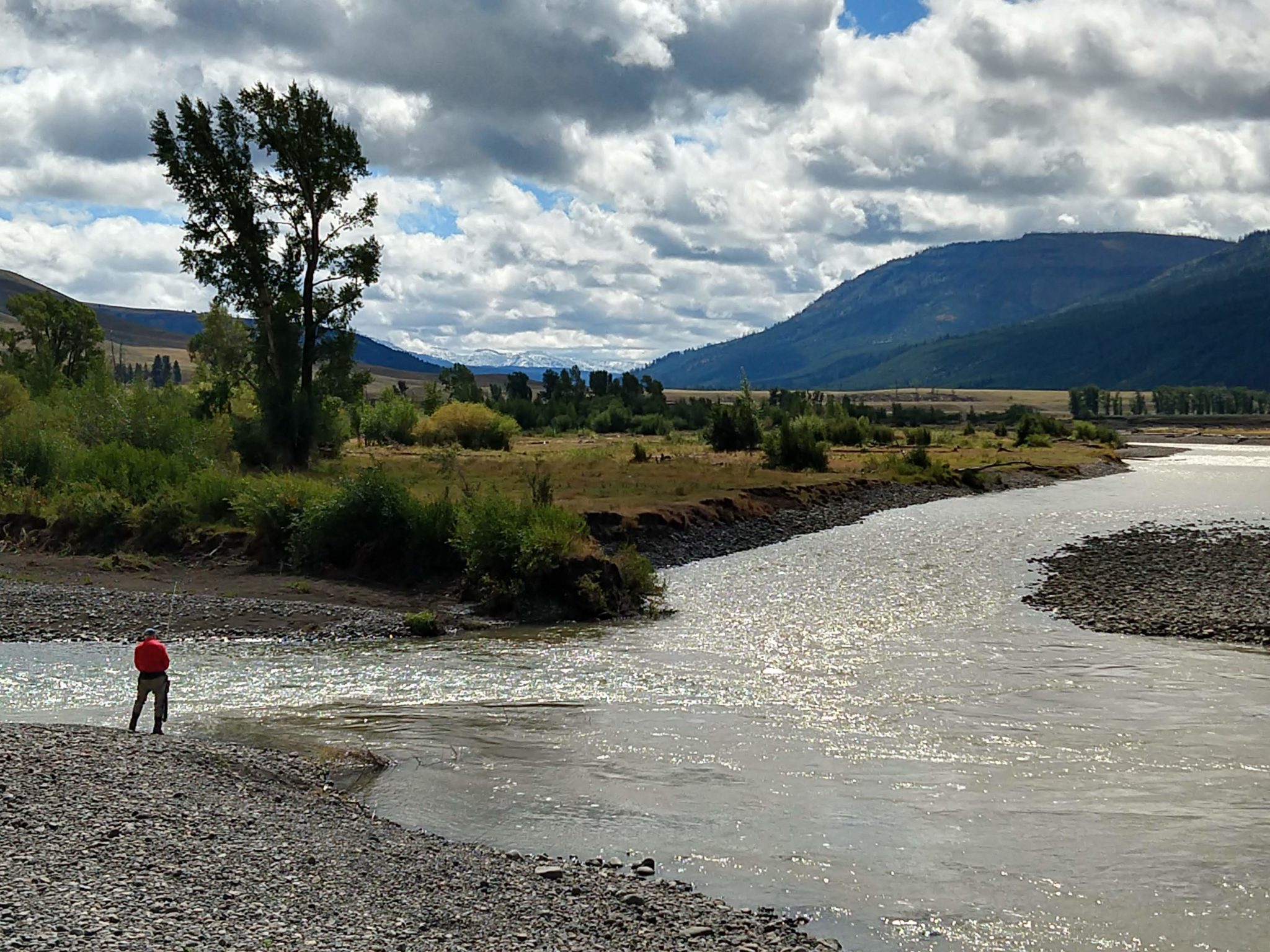 Yellowstone