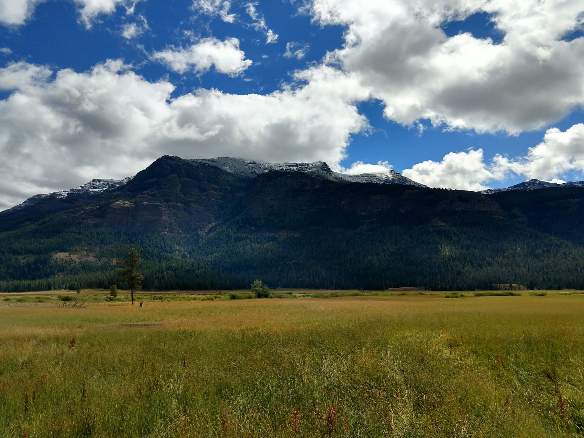 Yellowstone