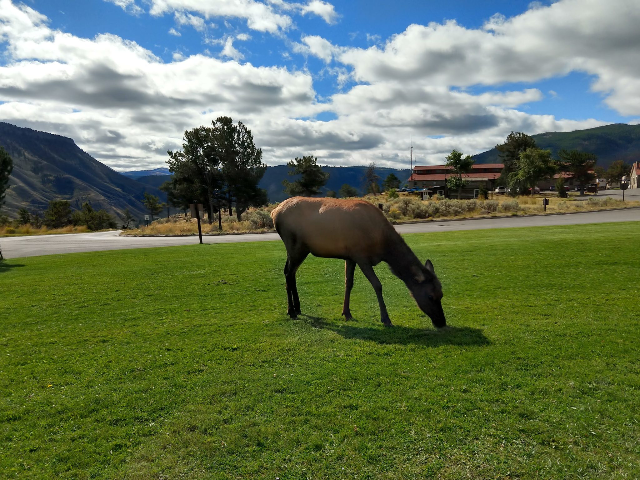 Yellowstone