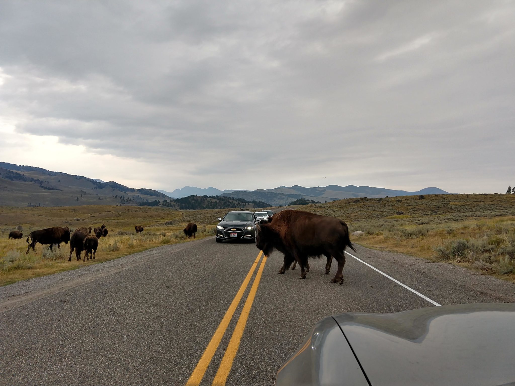 Yellowstone