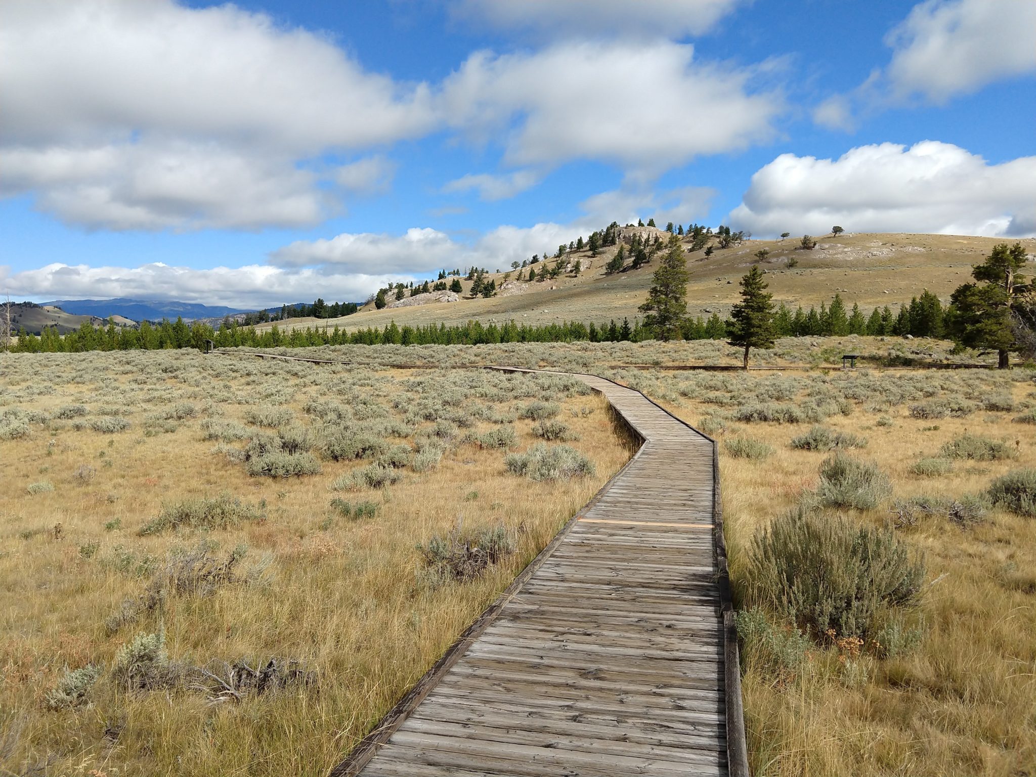 Yellowstone