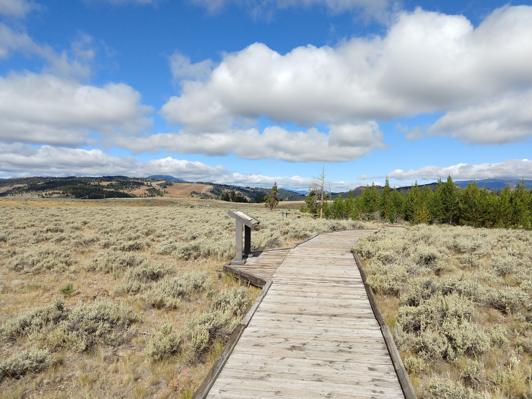 Yellowstone