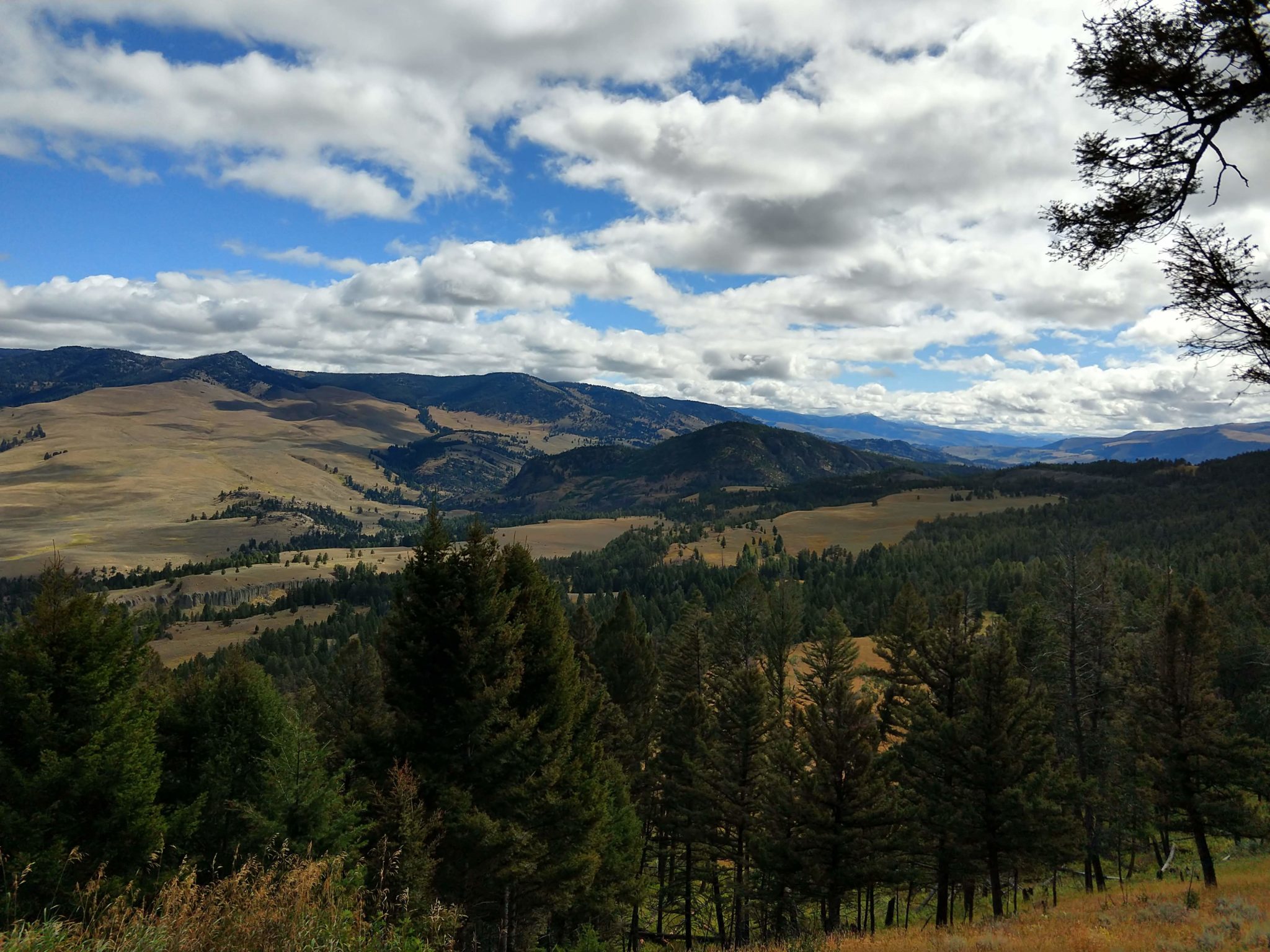 Yellowstone