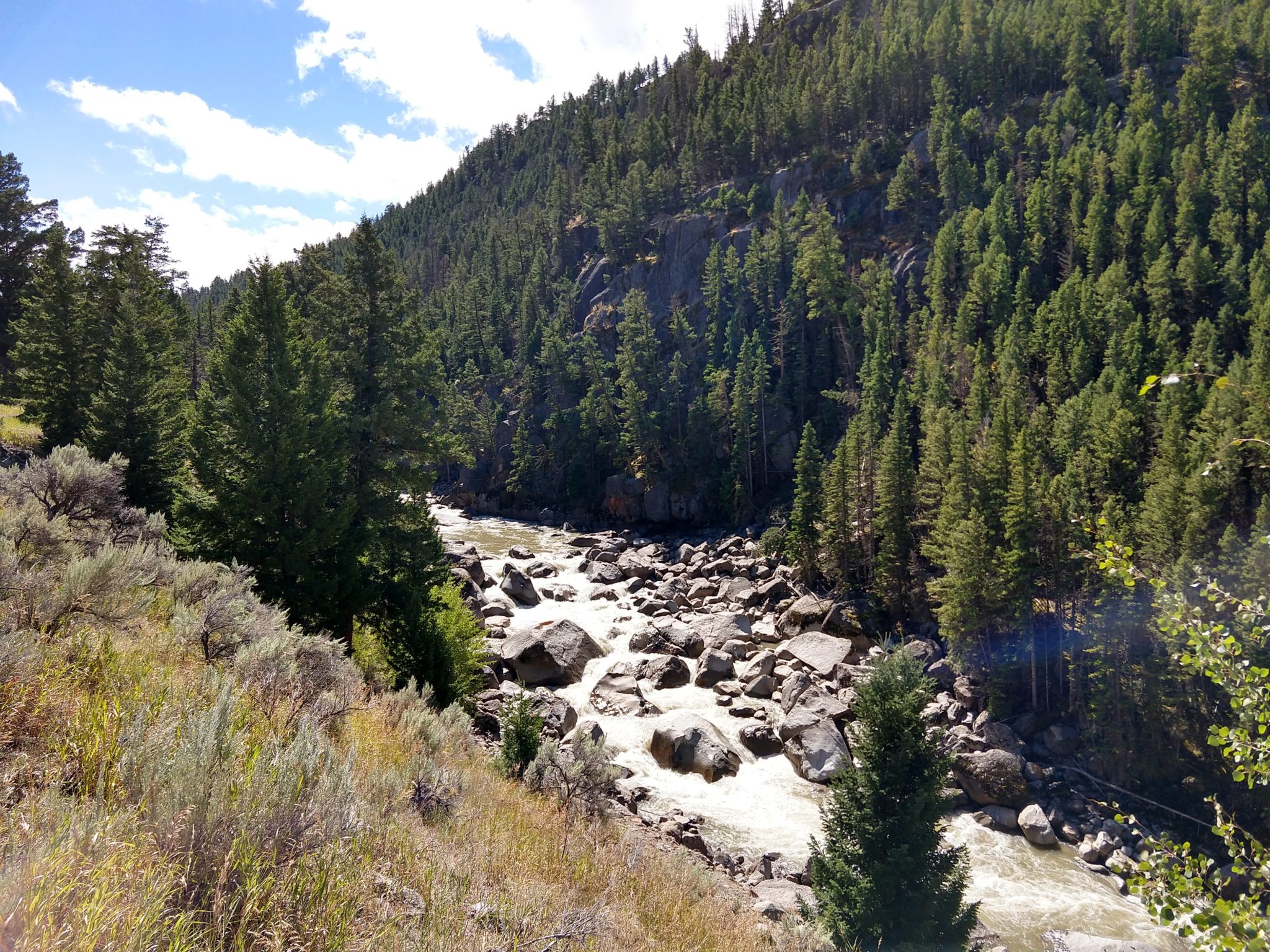 Yellowstone