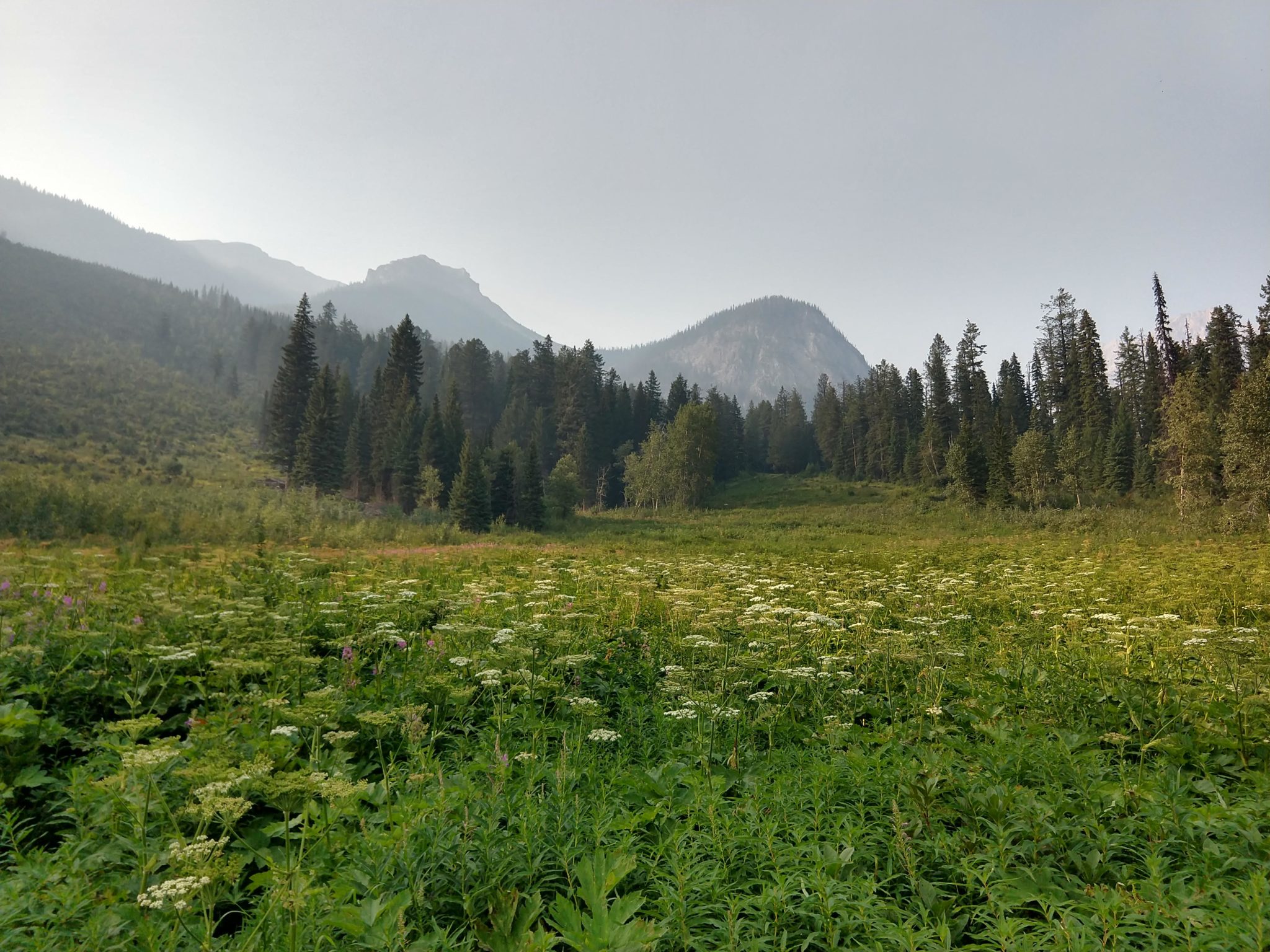 Yoho National Park